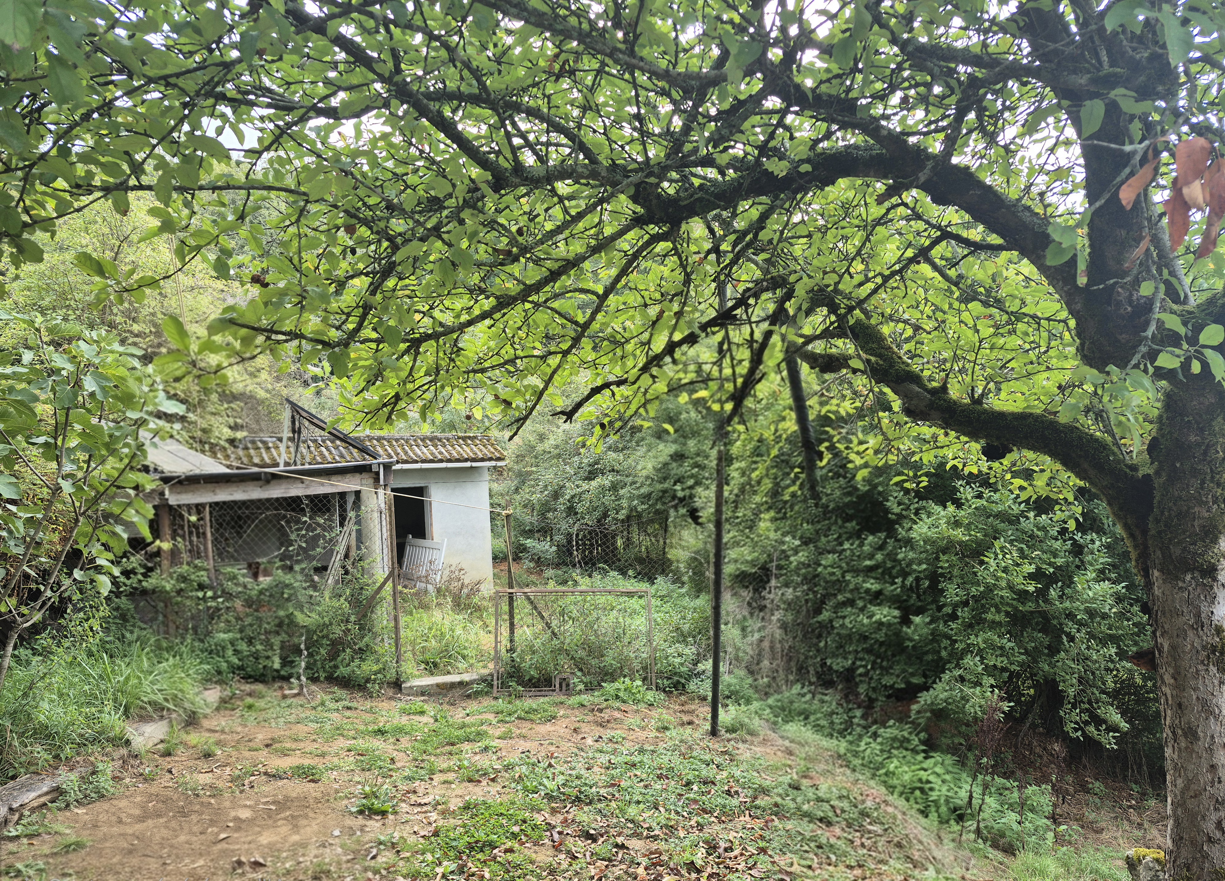 Photo 14 — AGENCIMMO