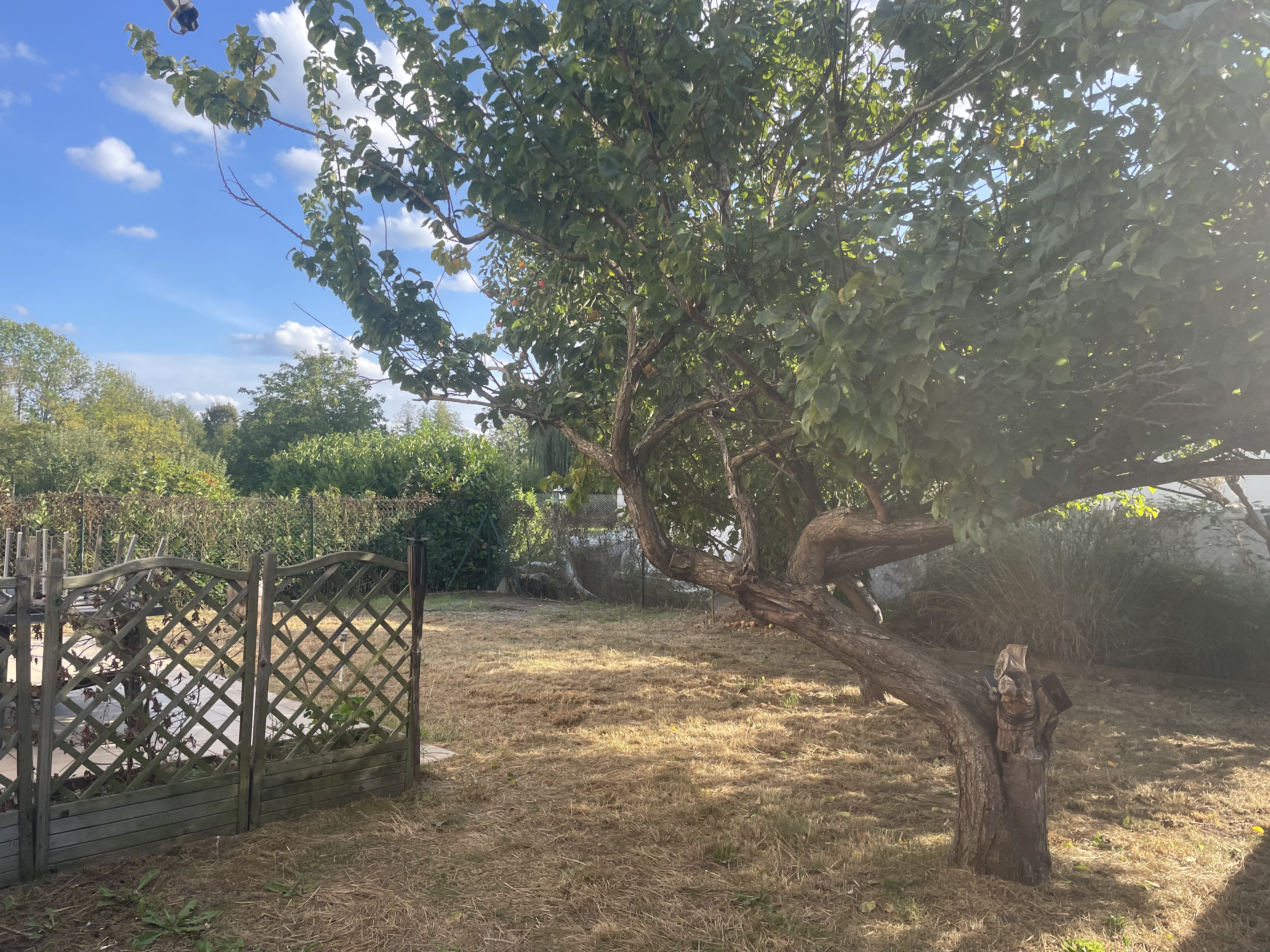 Photo 2 — AGENCIMMO
