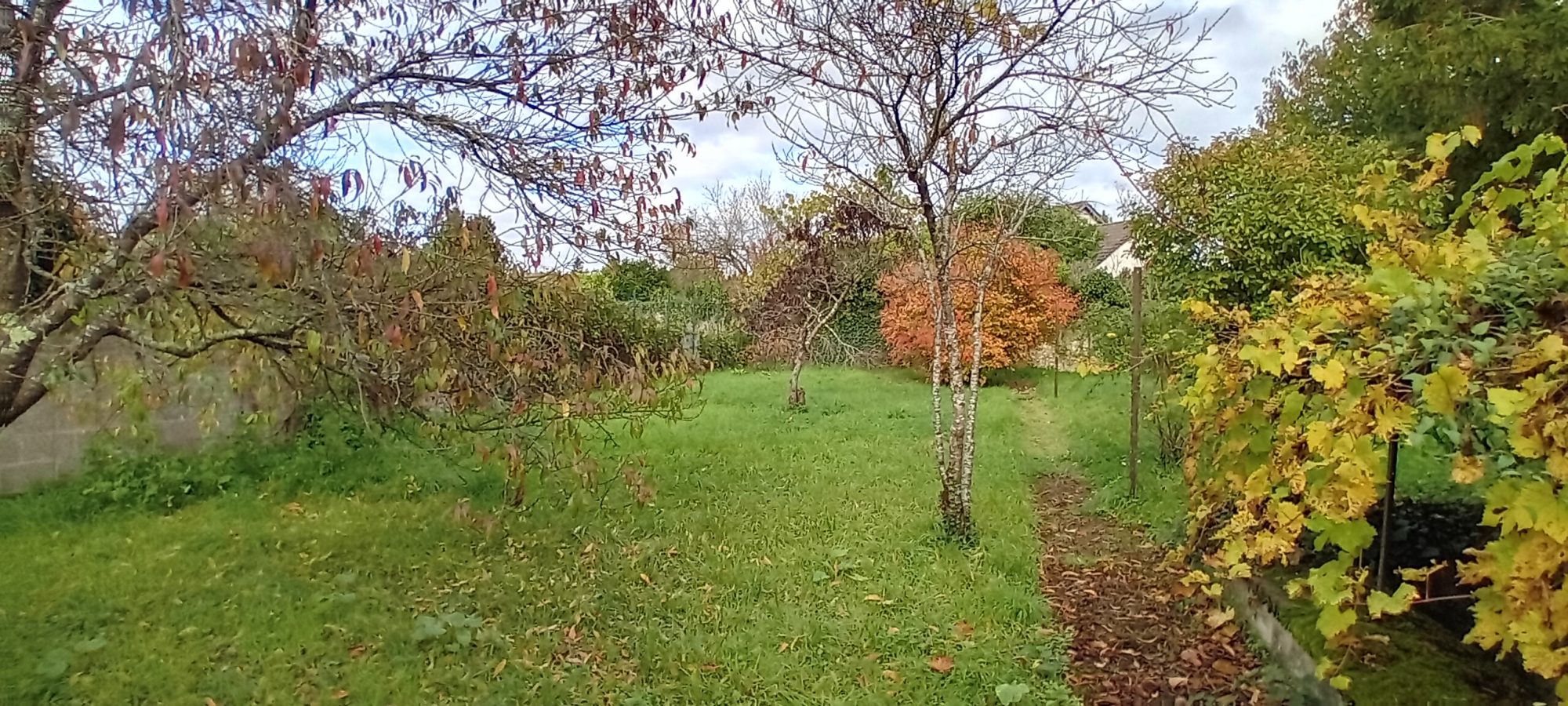 Photo 14 — AGENCIMMO