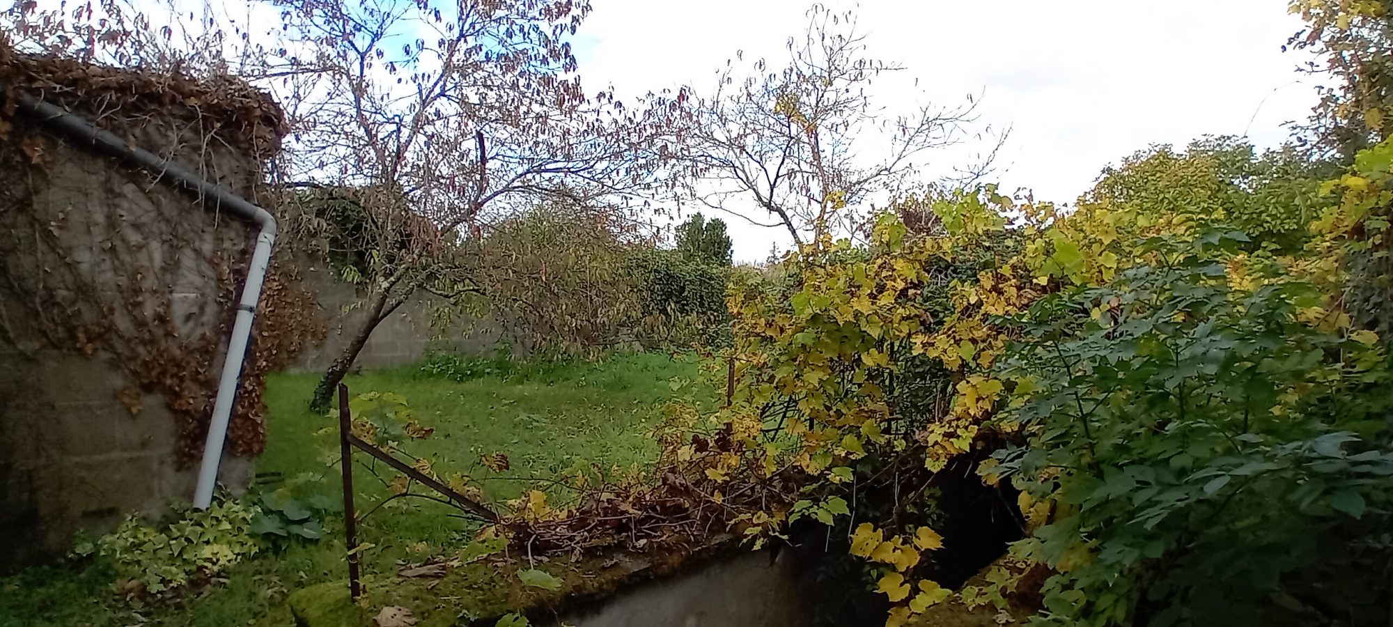 Photo 15 — AGENCIMMO
