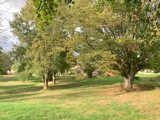 Photo 2 — AGENCIMMO
