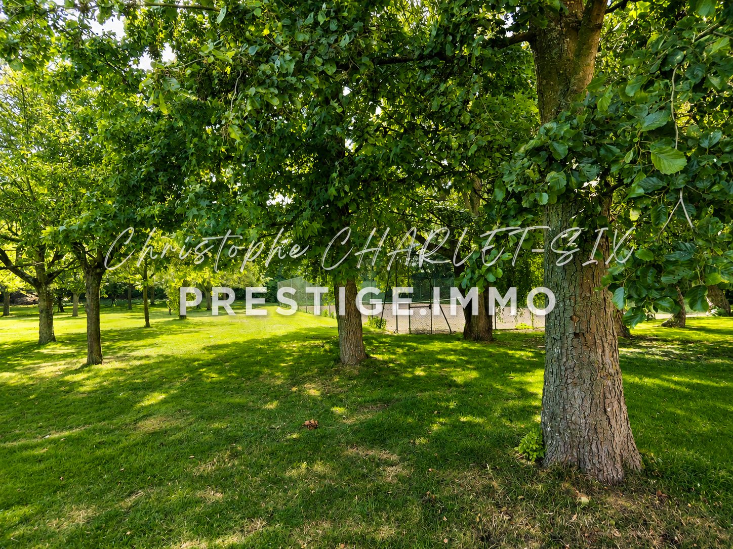 Photo 12 — AGENCIMMO
