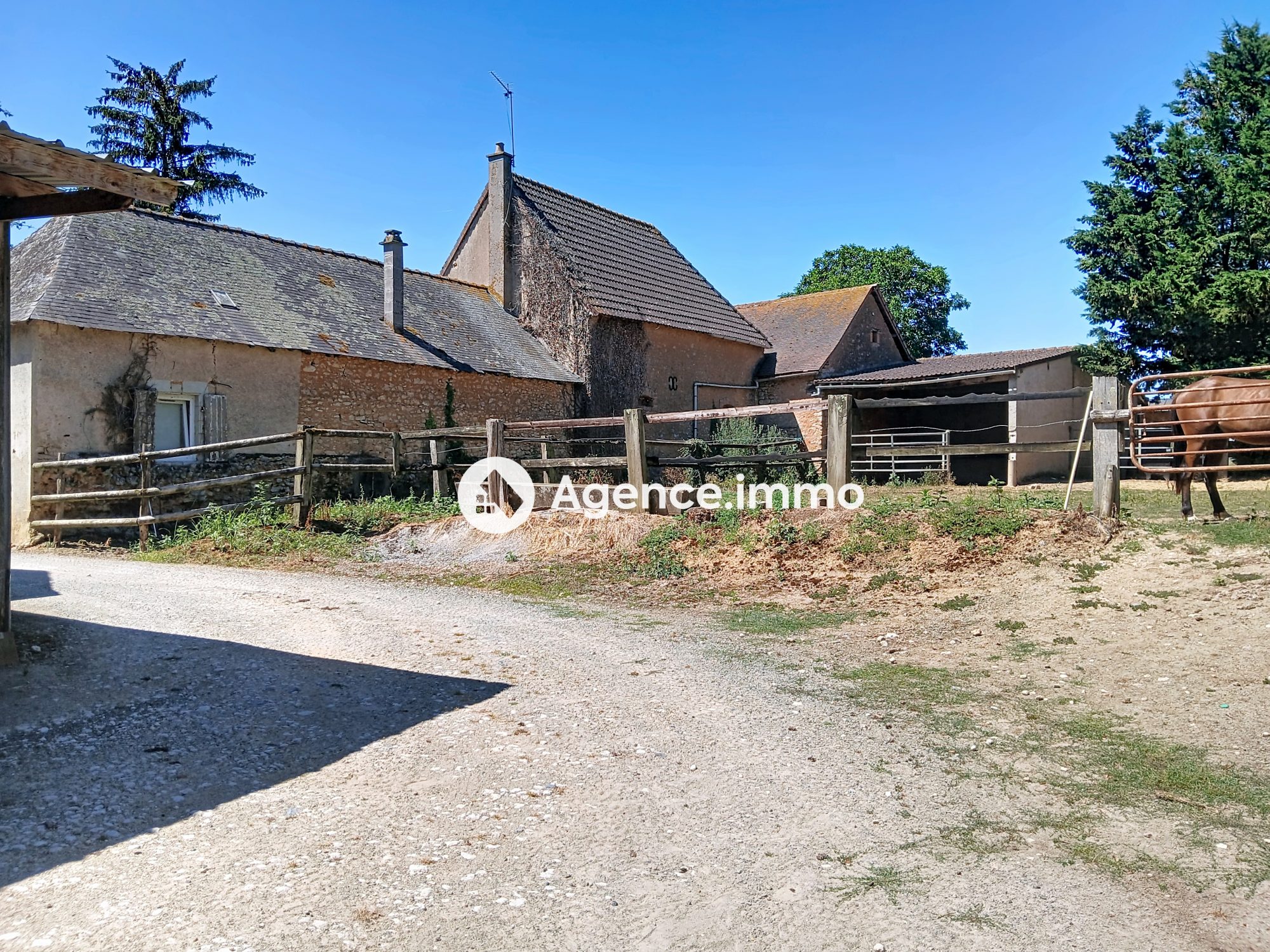 Photo 12 — AGENCIMMO