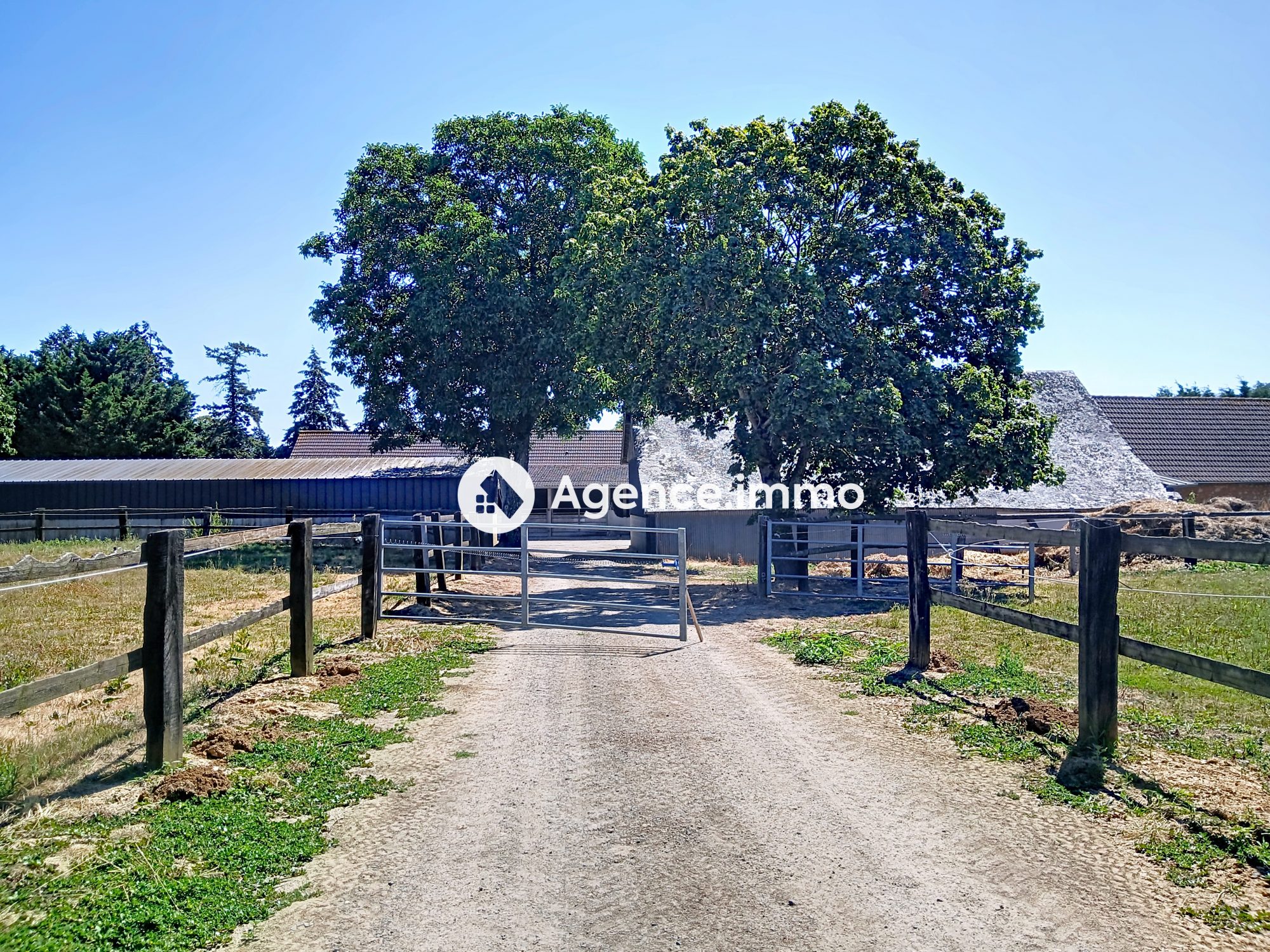 Photo 6 — AGENCIMMO