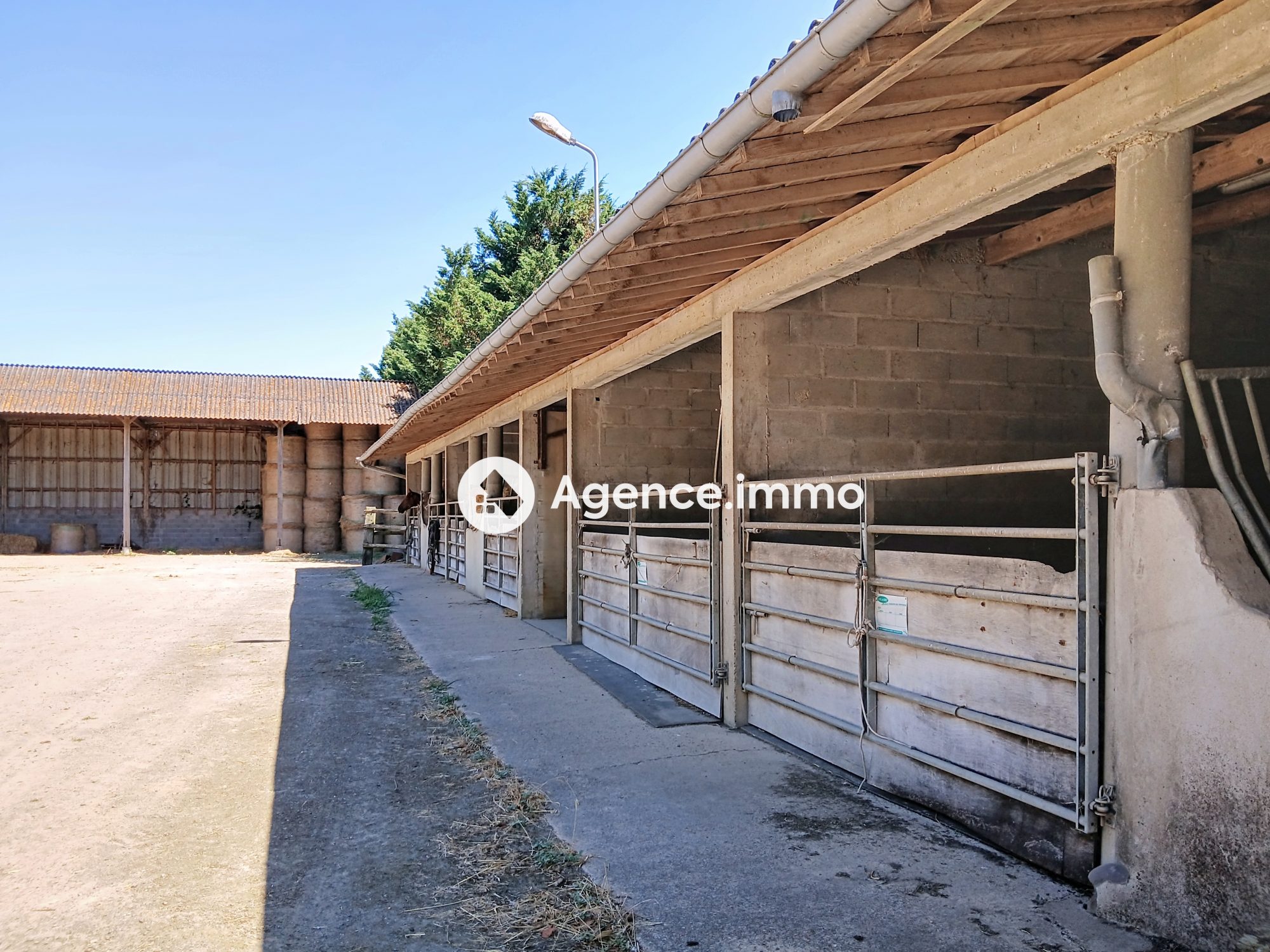 Photo 4 — AGENCIMMO