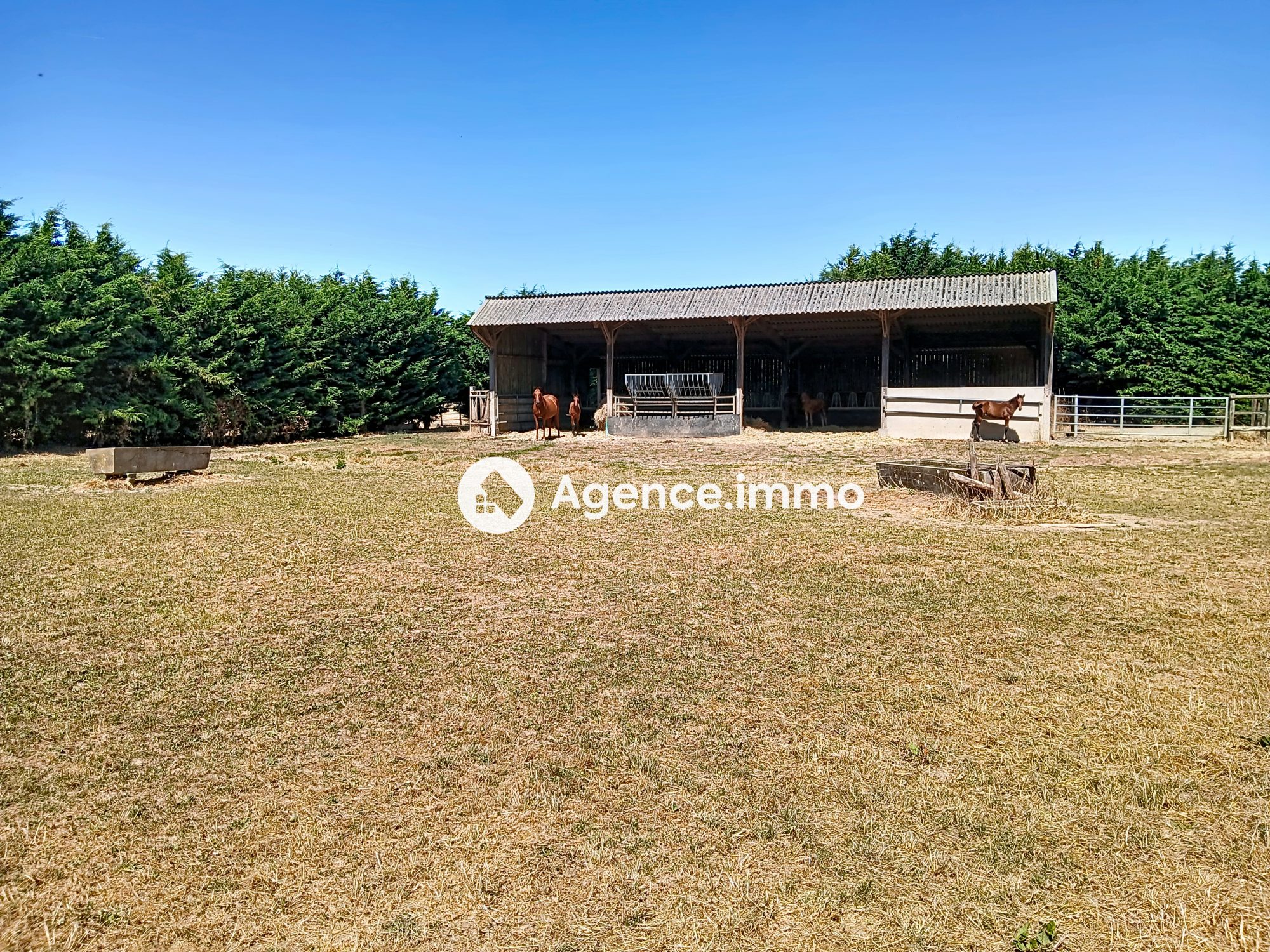 Photo 16 — AGENCIMMO