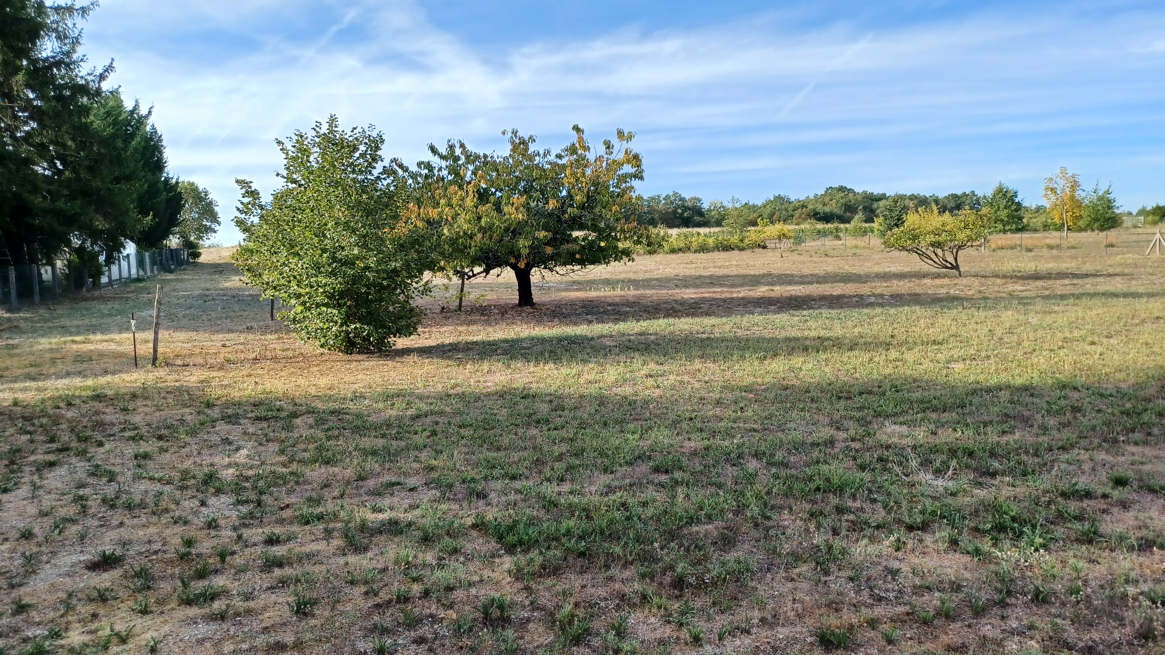 Photo 4 — AGENCIMMO