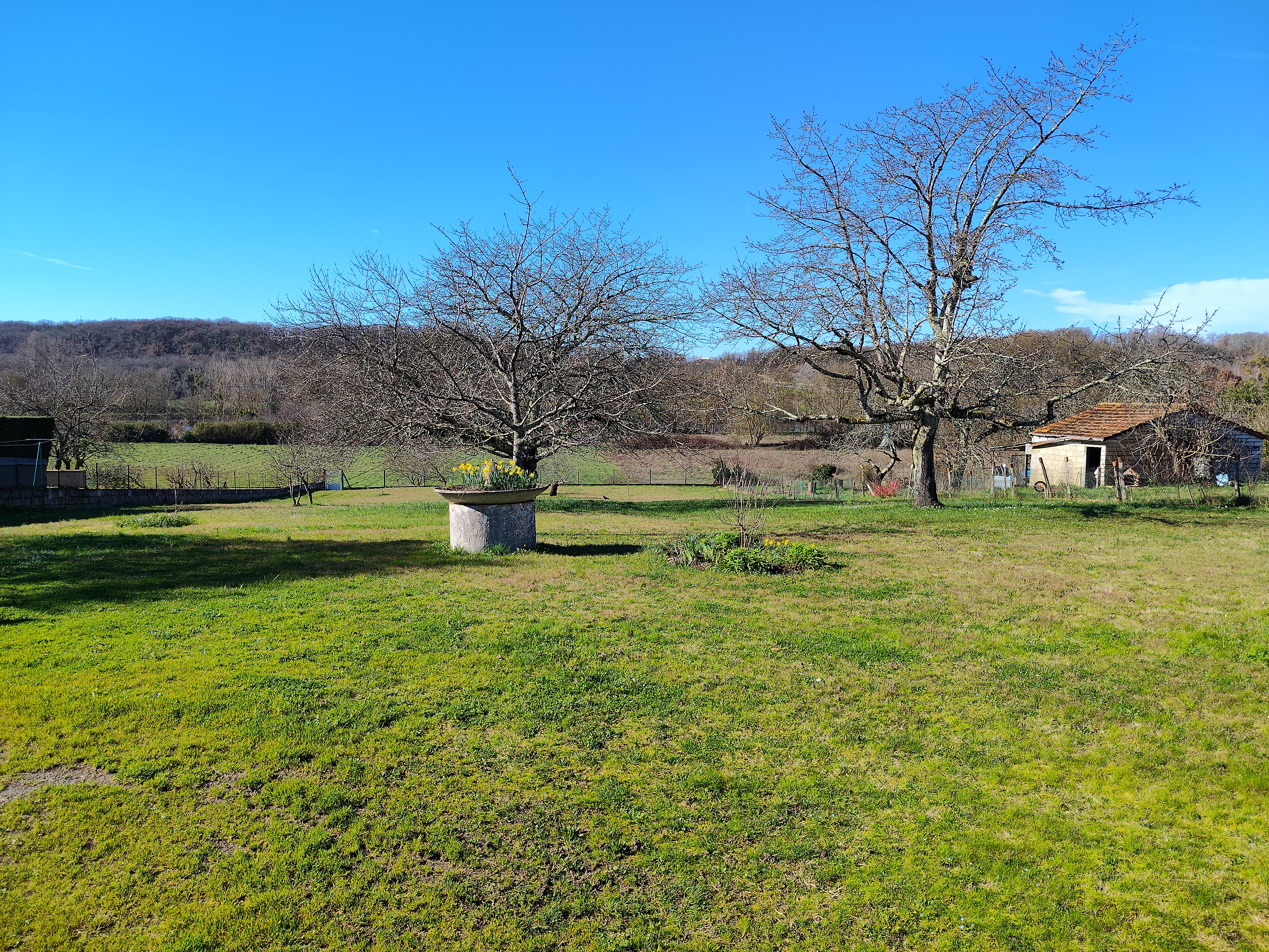 Photo 3 — AGENCIMMO