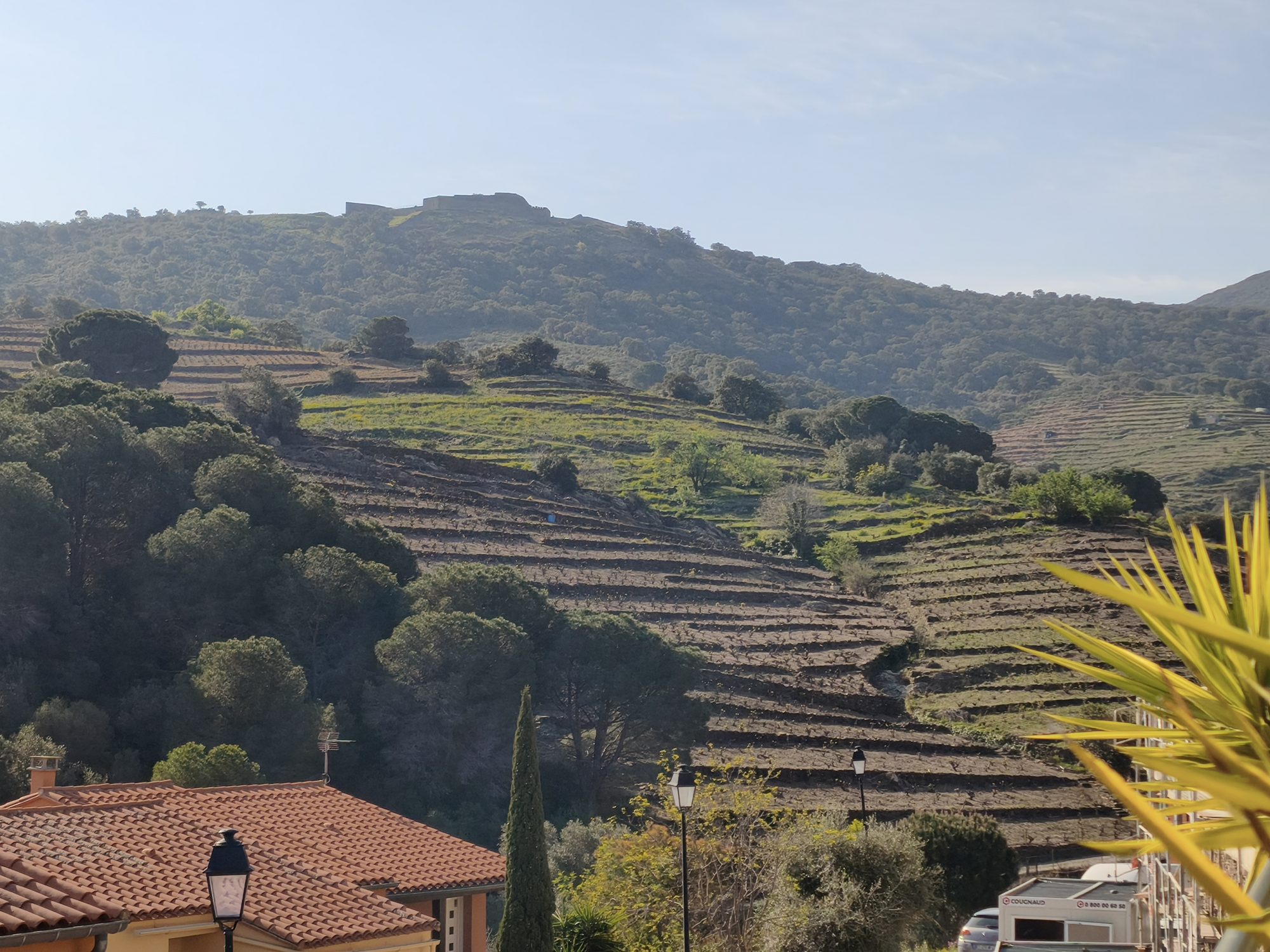 Photo 20 — AGENCIMMO