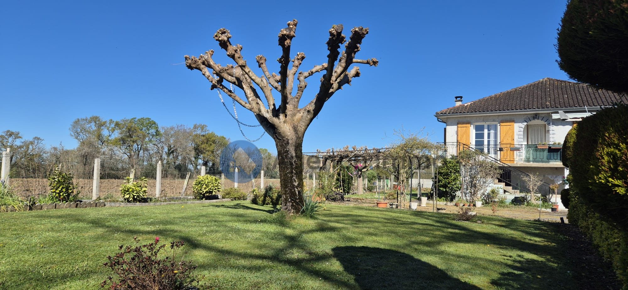 Photo 3 — AGENCIMMO