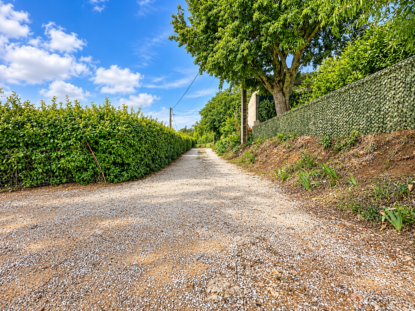 Photo 9 — AGENCIMMO