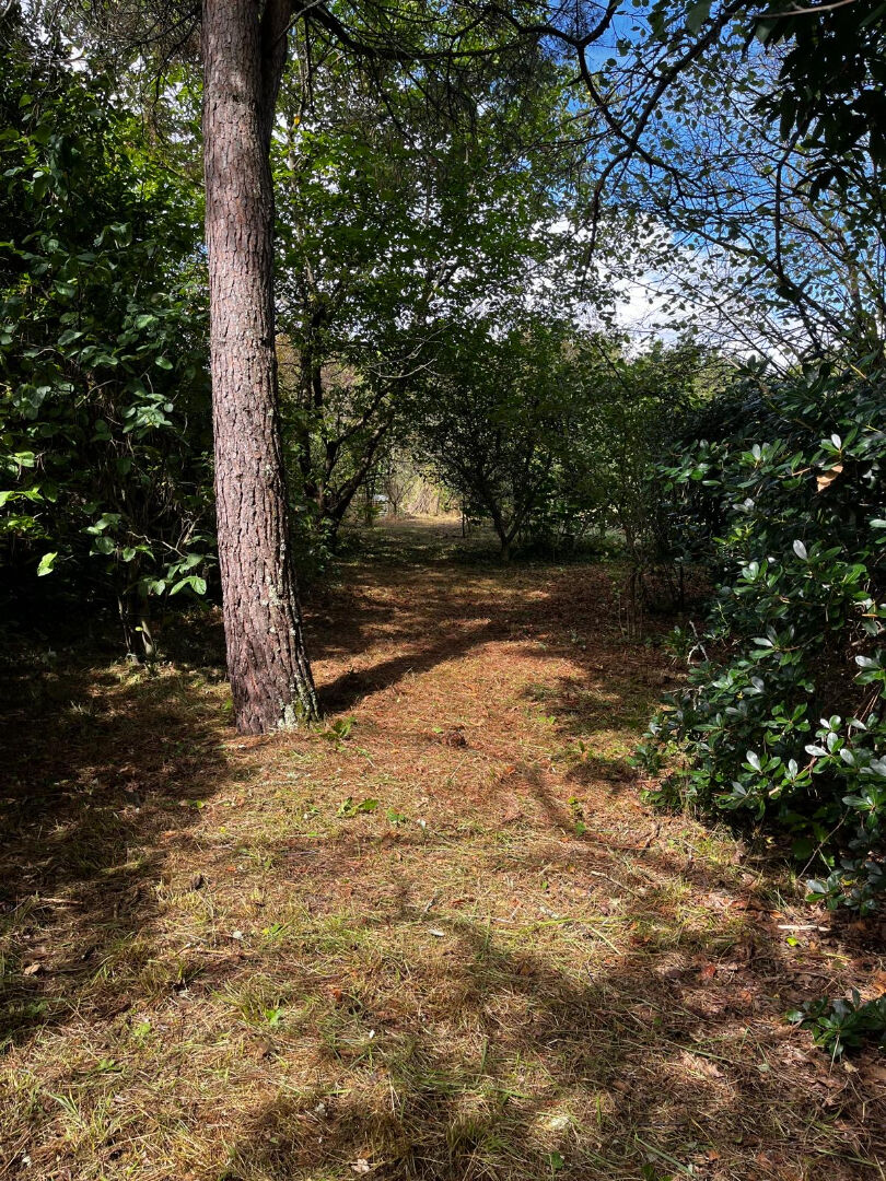 Photo 15 — MONDÉSIR Immobilier