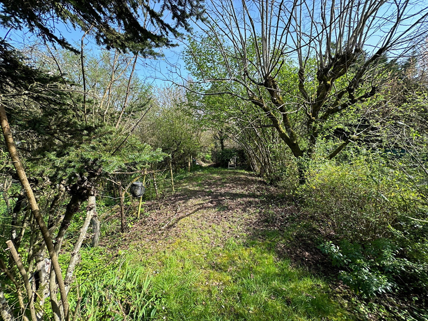 Photo 9 — MONDÉSIR Immobilier