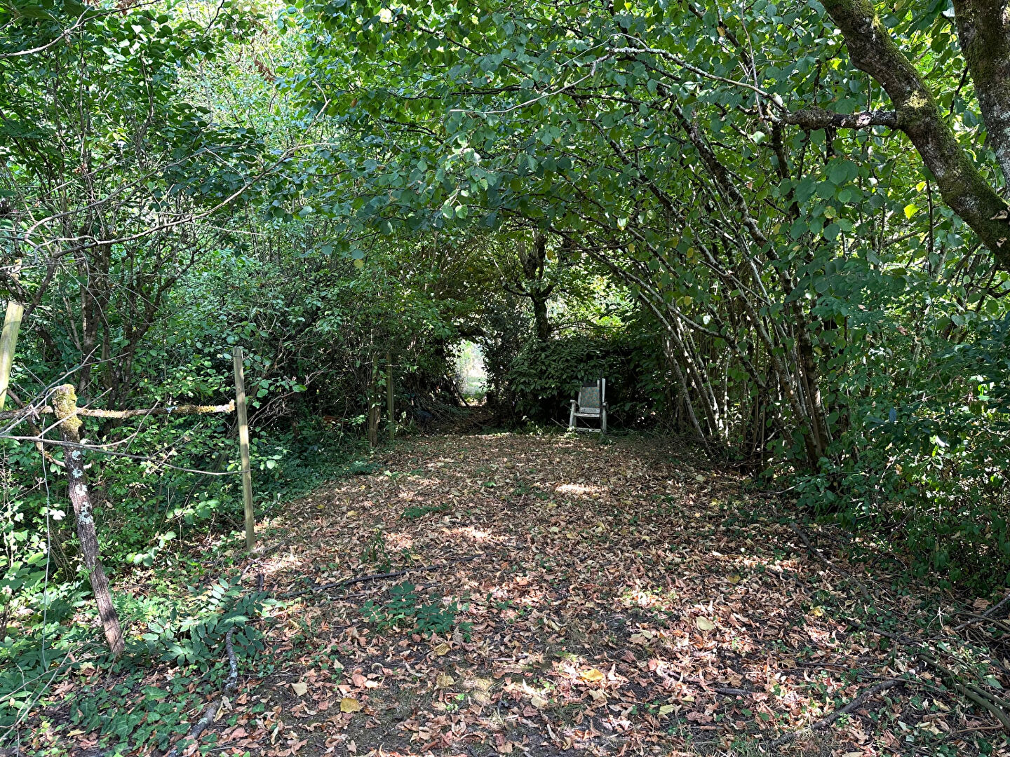 Photo 13 — MONDÉSIR Immobilier