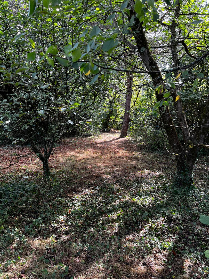 Photo 17 — MONDÉSIR Immobilier