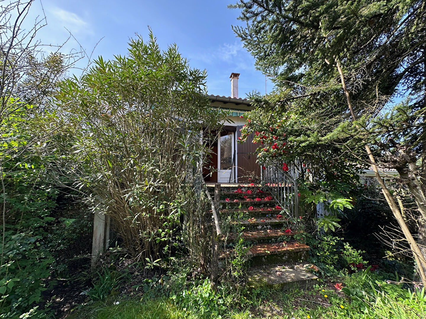 Photo 10 — MONDÉSIR Immobilier