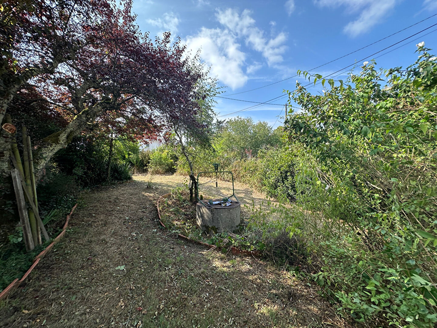 Photo 14 — MONDÉSIR Immobilier