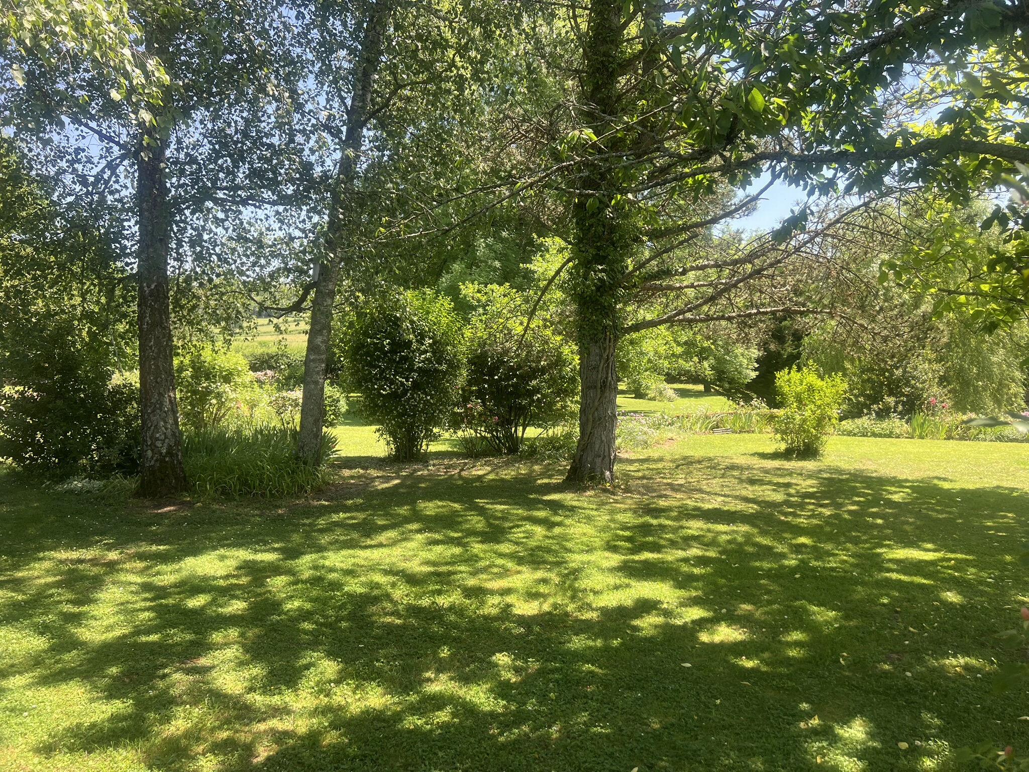 Photo 4 — DEVIN IMMOBILIER