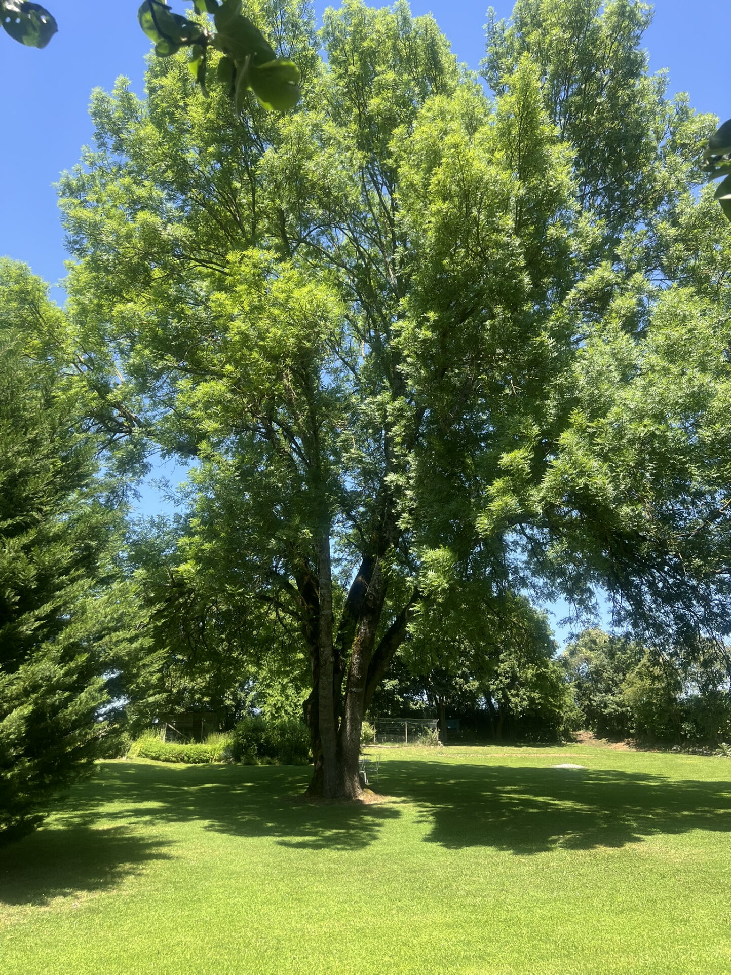 Photo 7 — DEVIN IMMOBILIER