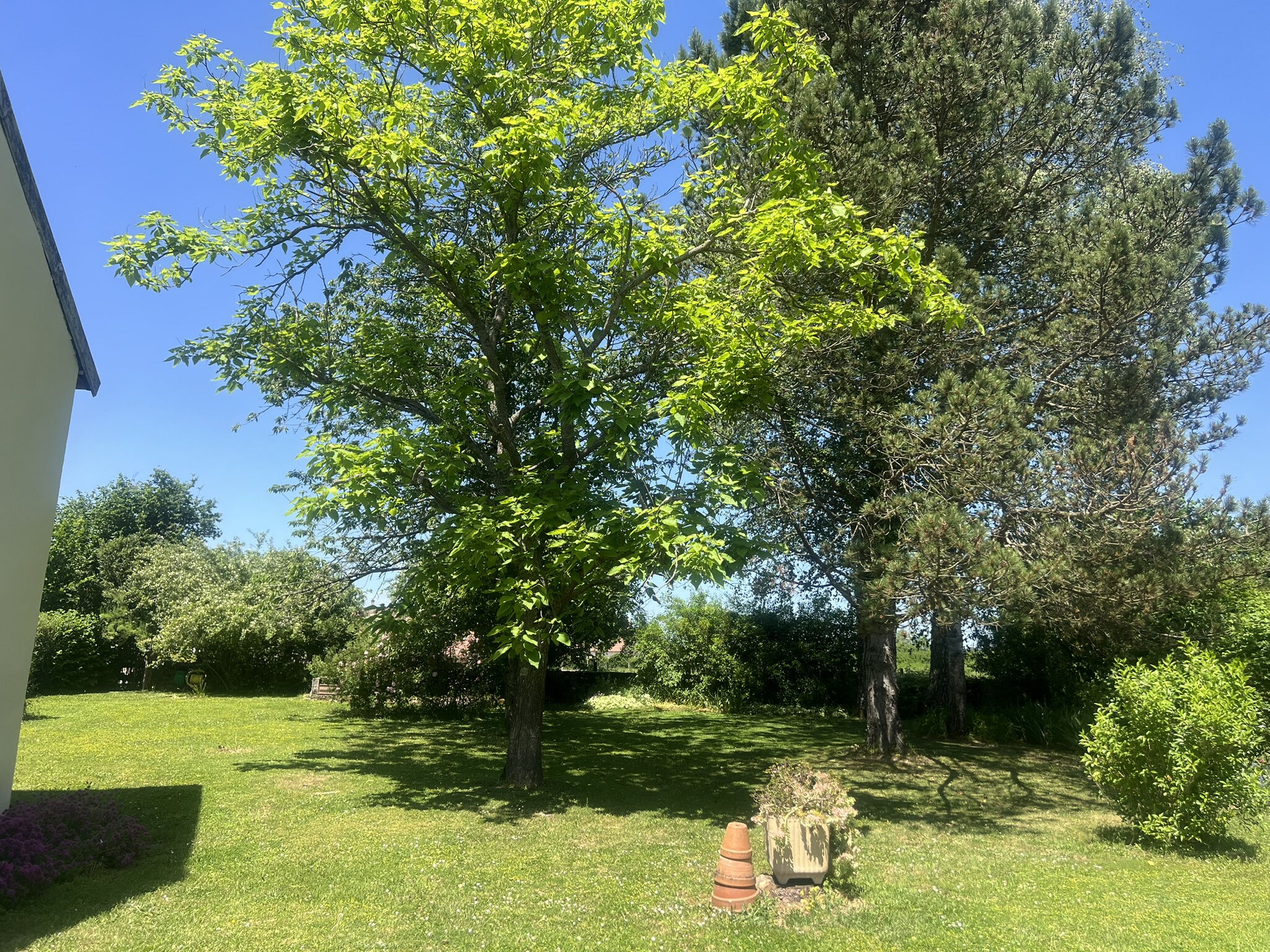 Photo 6 — DEVIN IMMOBILIER