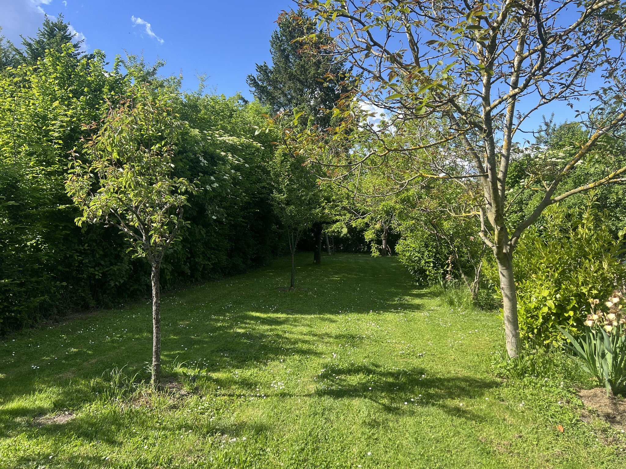 Photo 26 — DEVIN IMMOBILIER