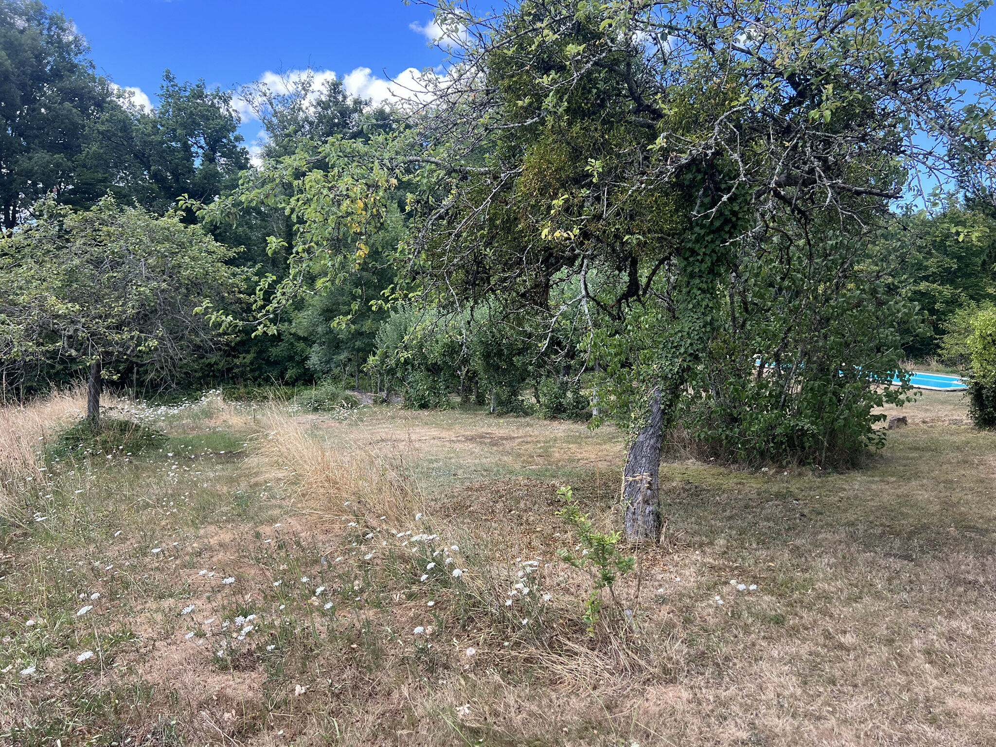 Photo 7 — DEVIN IMMOBILIER