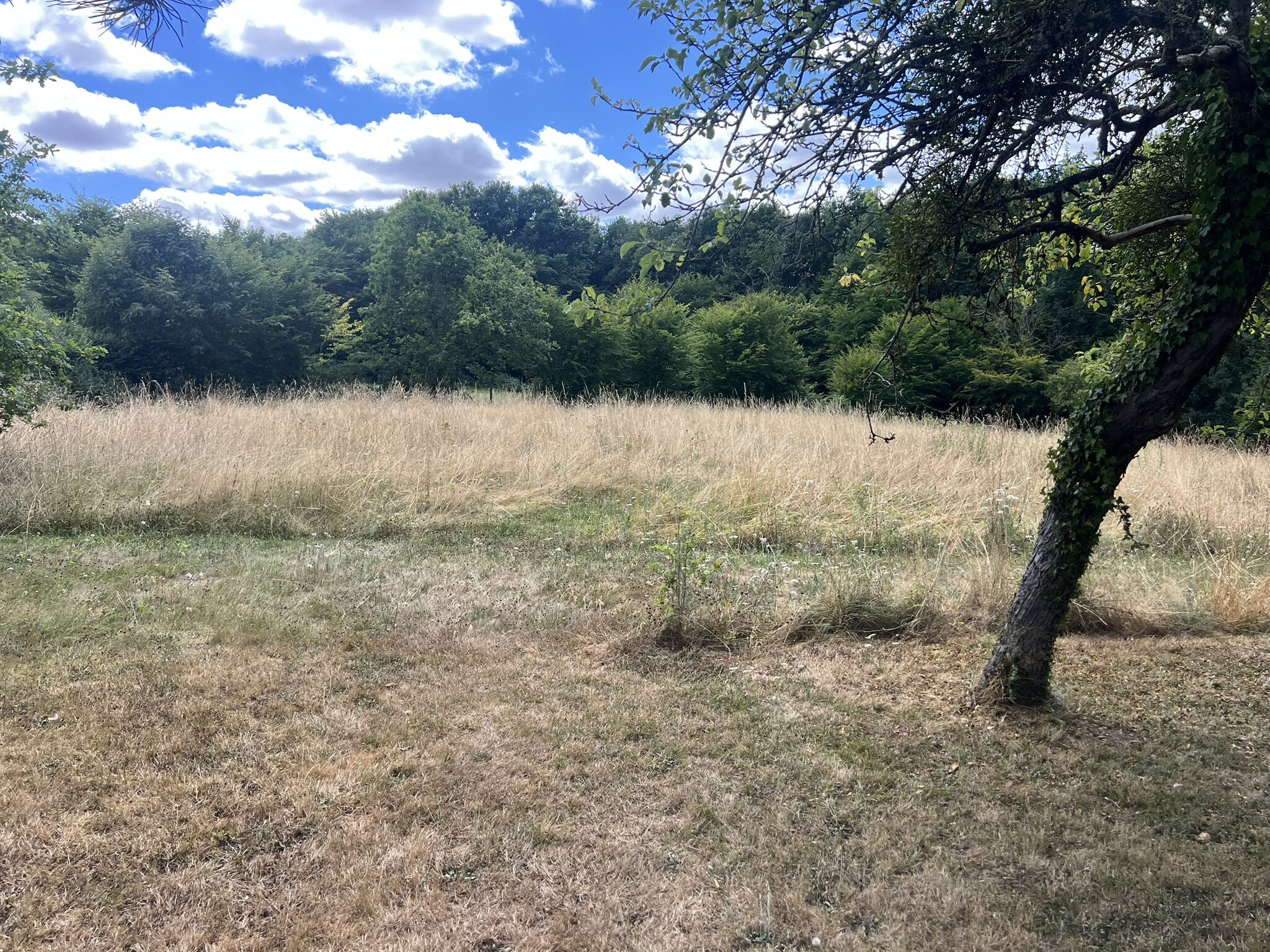 Photo 8 — DEVIN IMMOBILIER