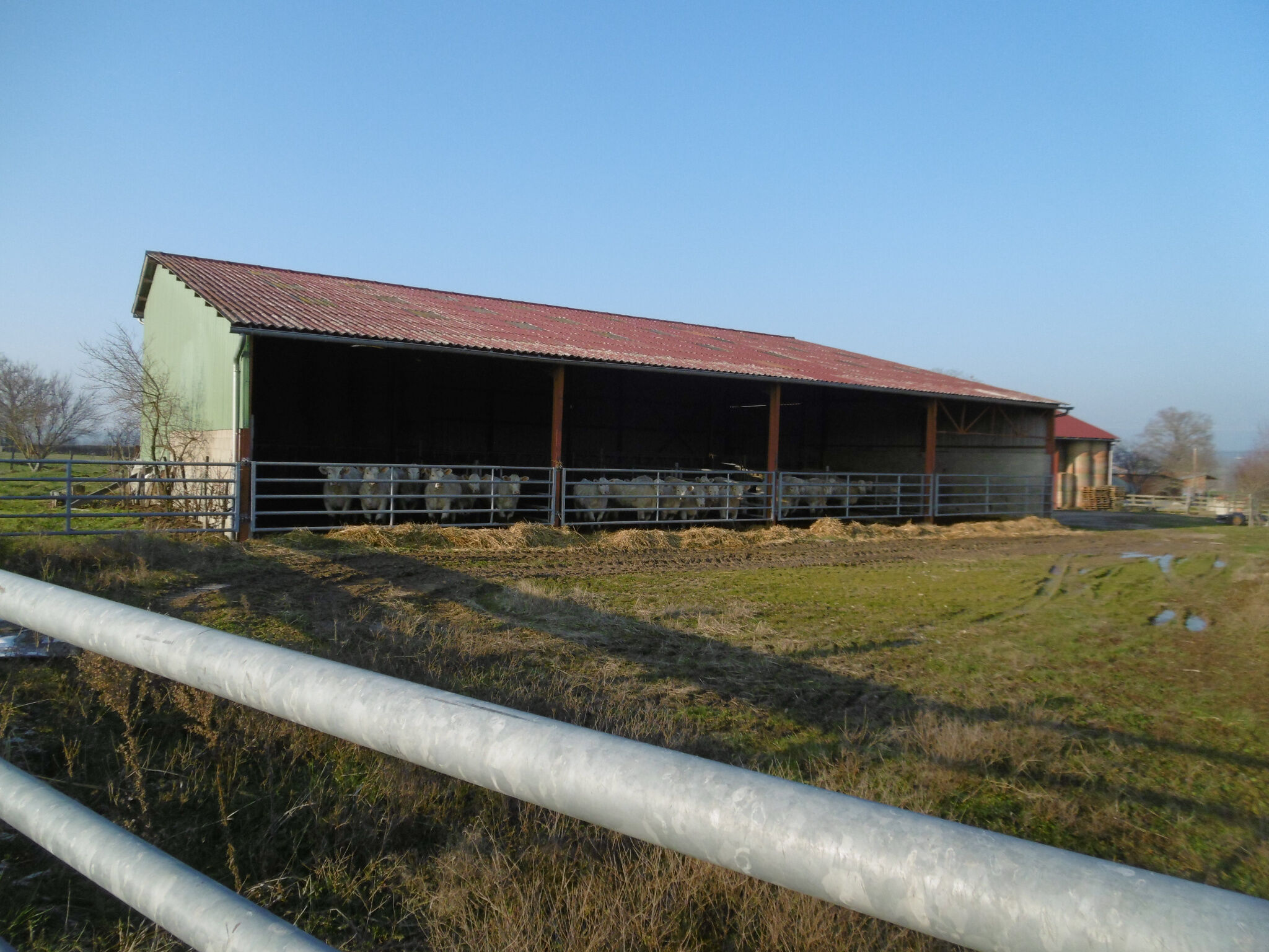 Photo 6 — DEVIN IMMOBILIER