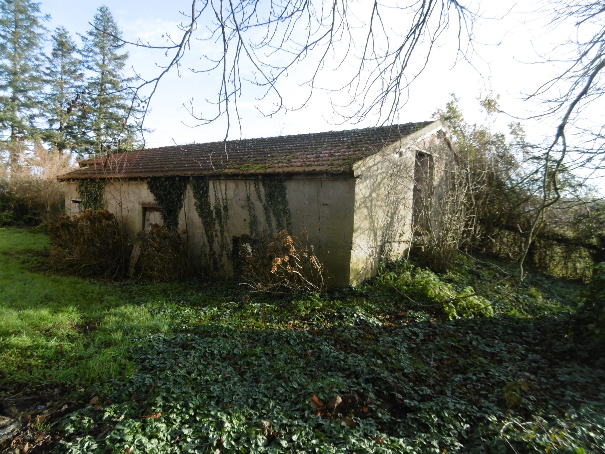 Photo 4 — DEVIN IMMOBILIER