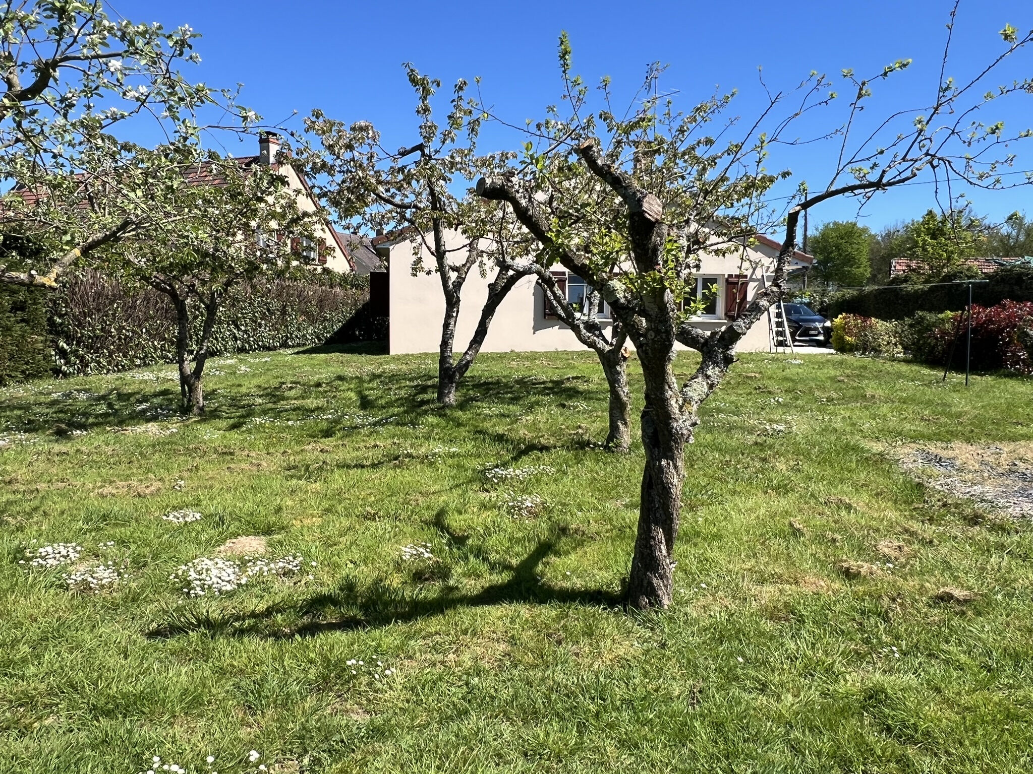 Photo 21 — DEVIN IMMOBILIER