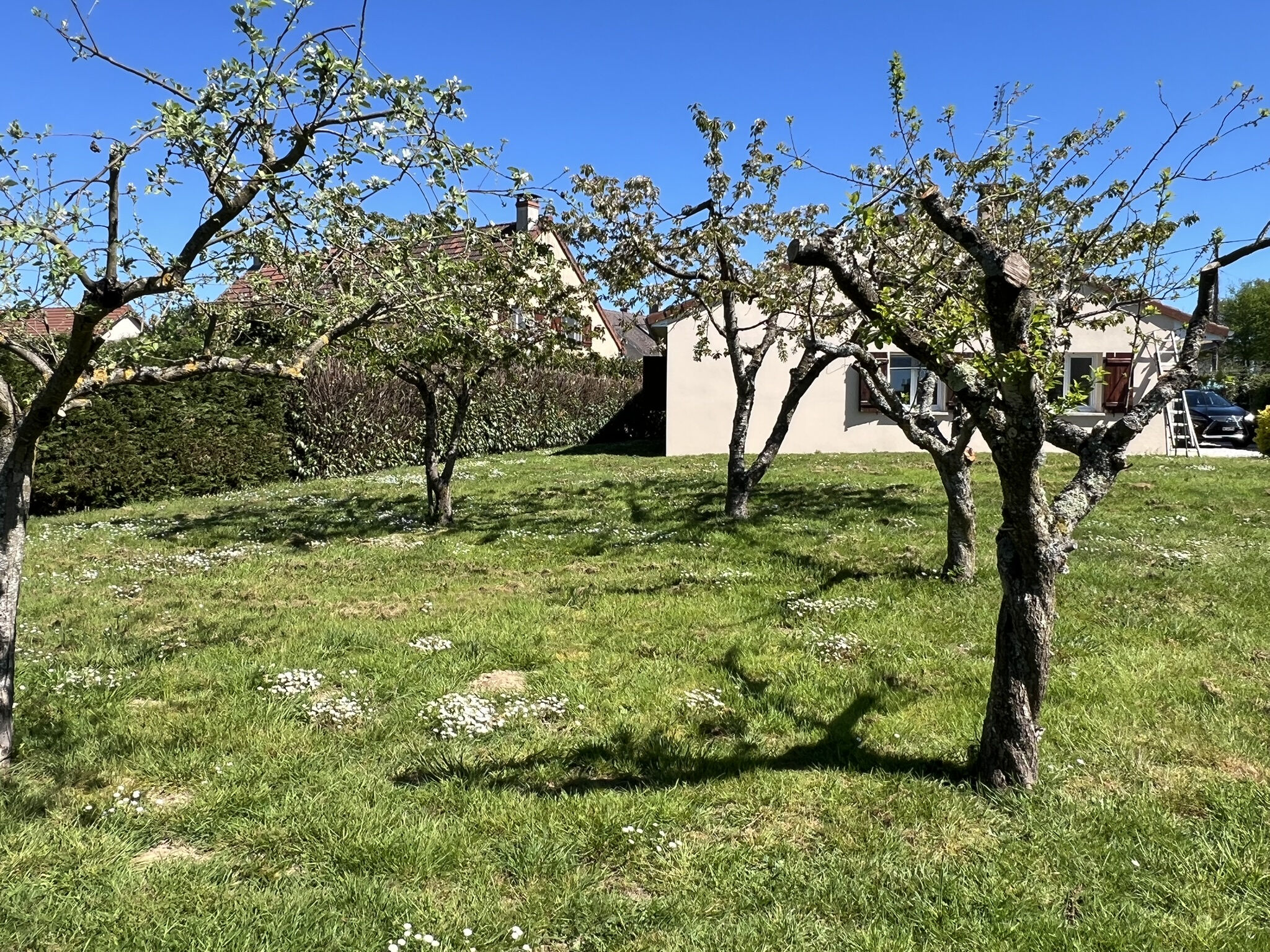 Photo 4 — DEVIN IMMOBILIER