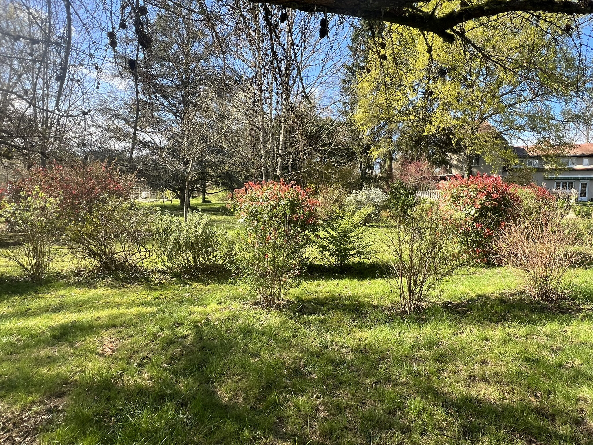 Photo 9 — DEVIN IMMOBILIER