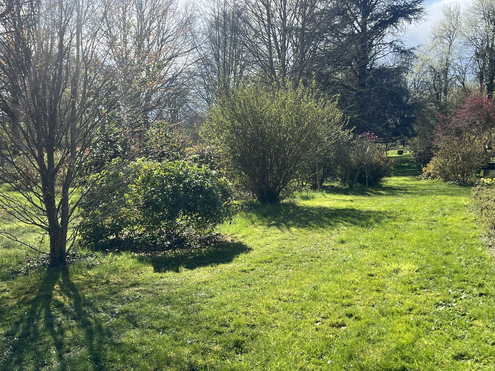 Photo 8 — DEVIN IMMOBILIER