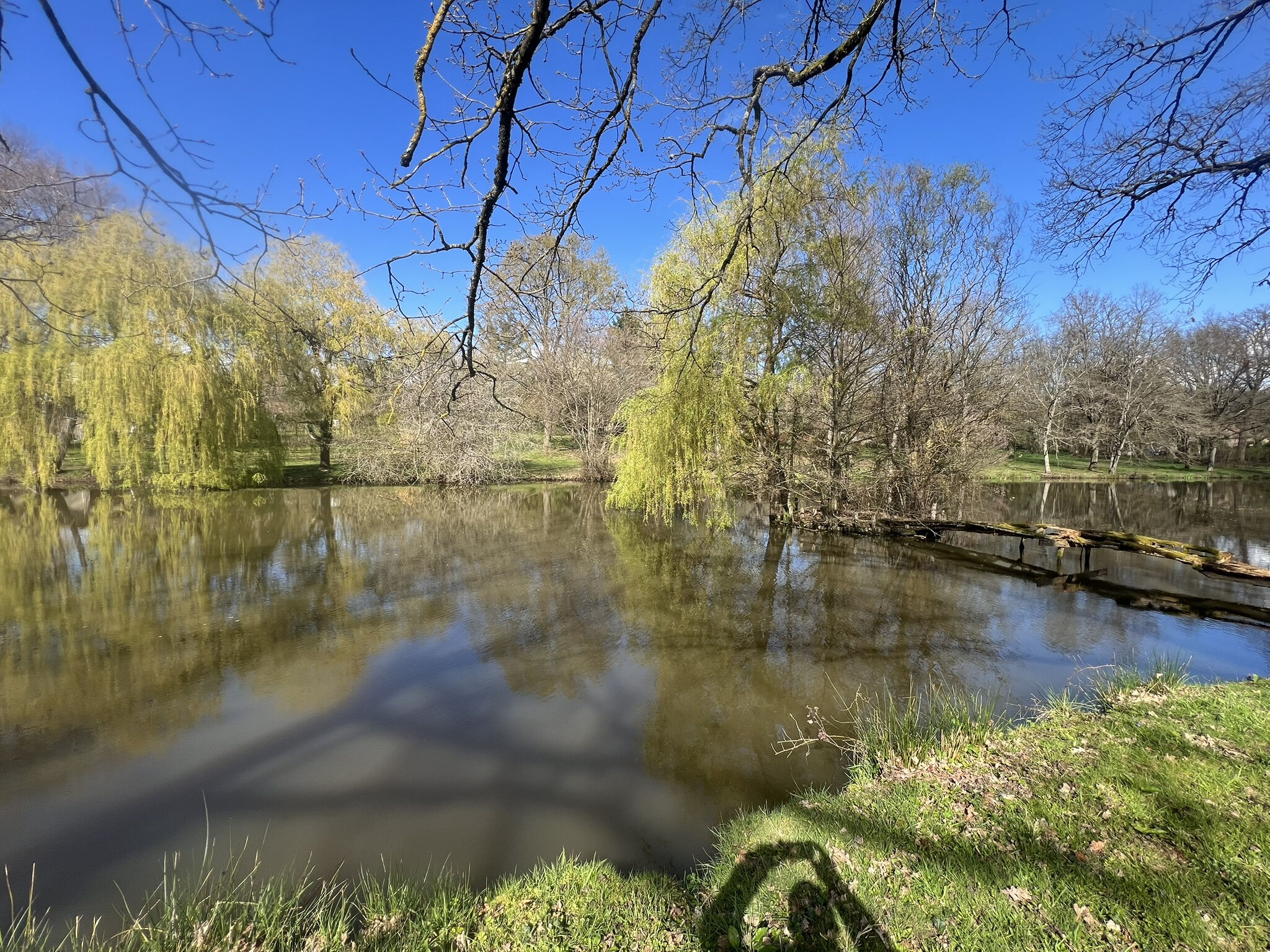 Photo 6 — DEVIN IMMOBILIER