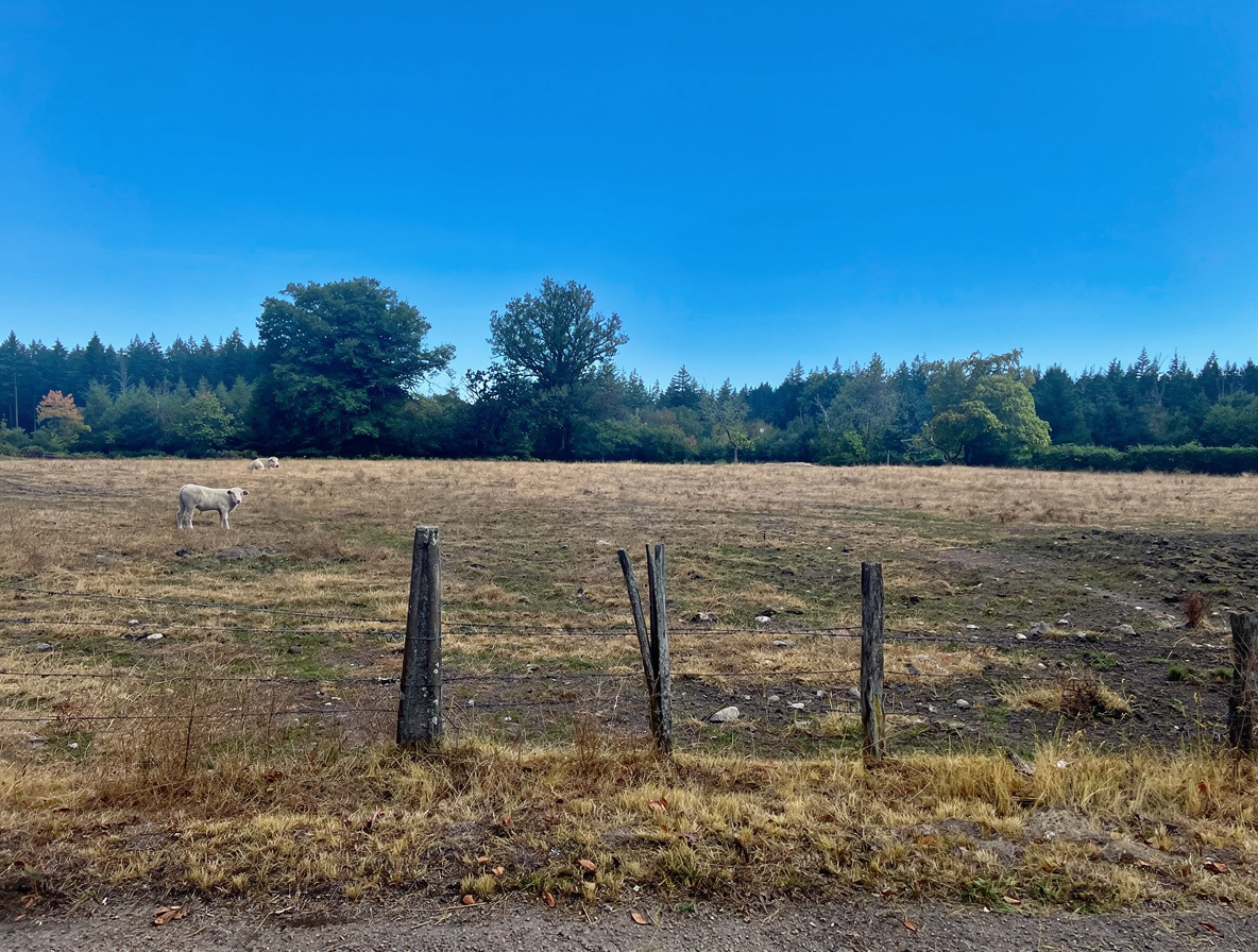 Photo 7 — DEVIN IMMOBILIER