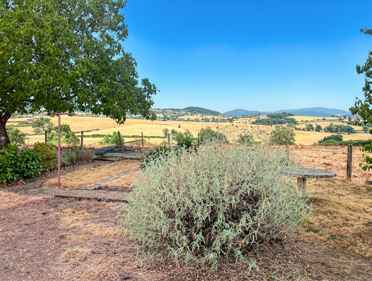 Photo 4 — DEVIN IMMOBILIER