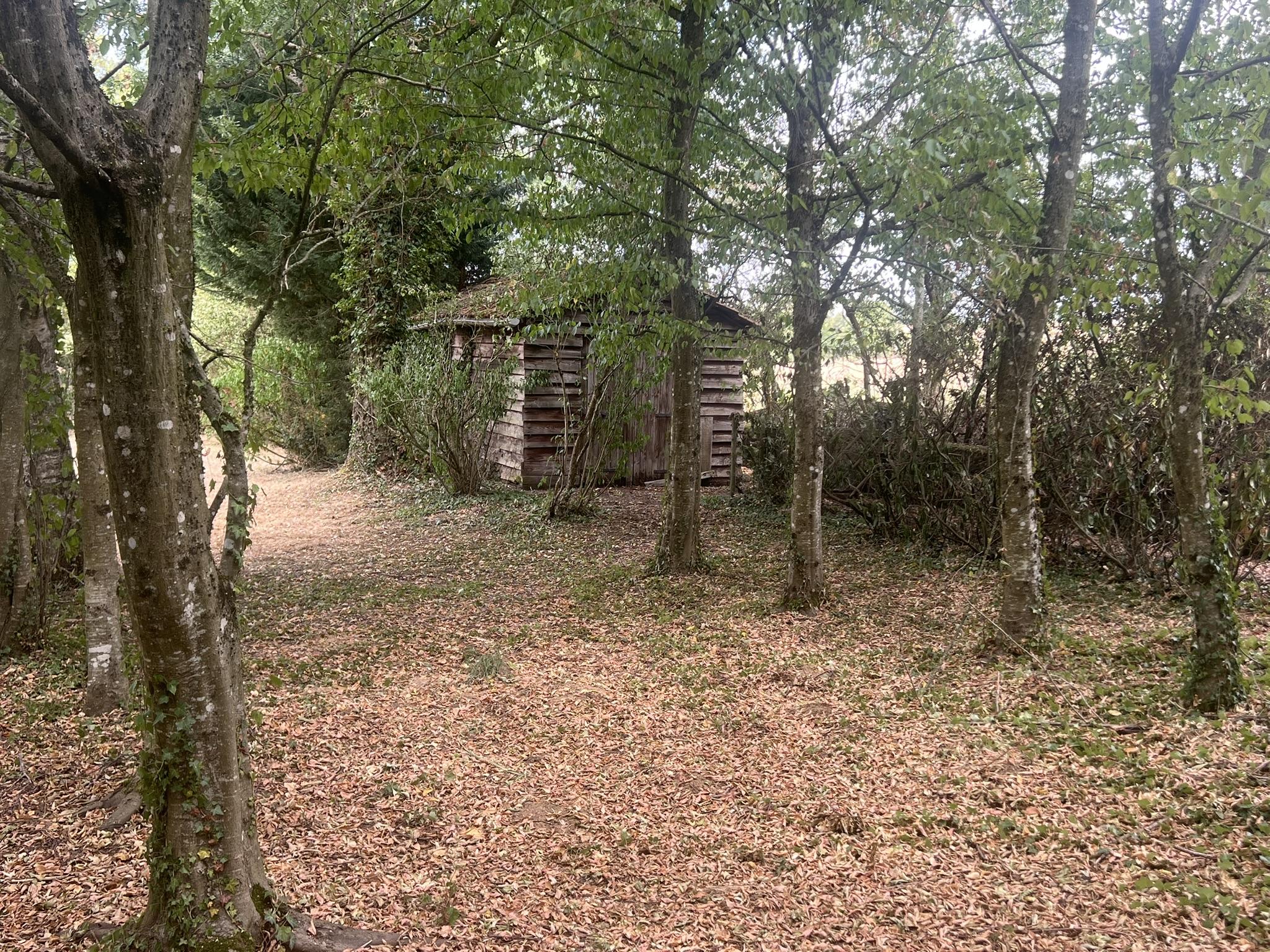 Photo 10 — DEVIN IMMOBILIER