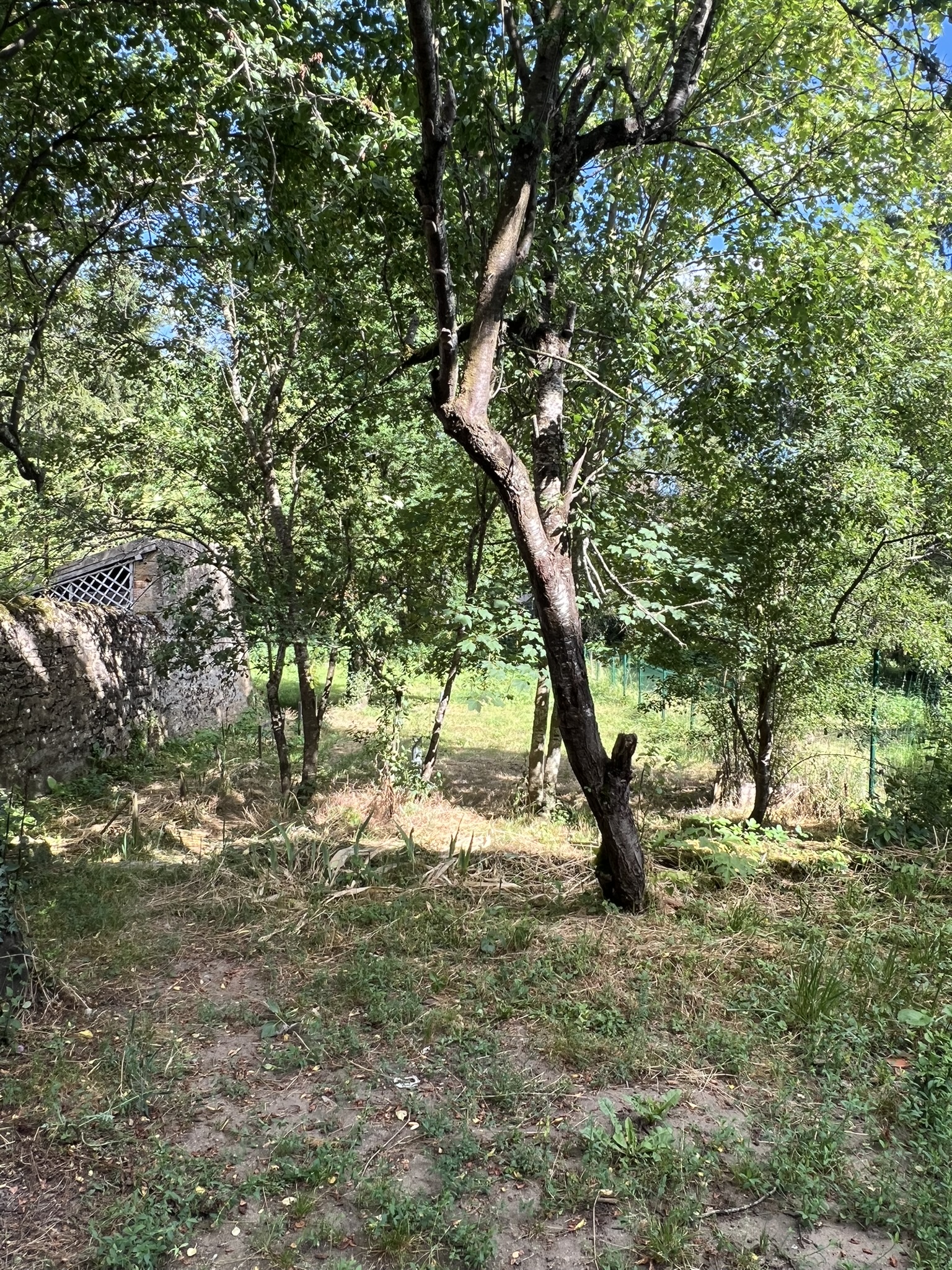 Photo 6 — DEVIN IMMOBILIER