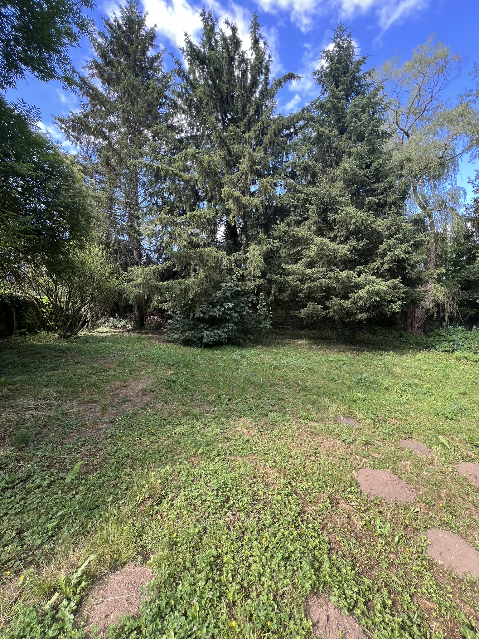 Photo 3 — DEVIN IMMOBILIER