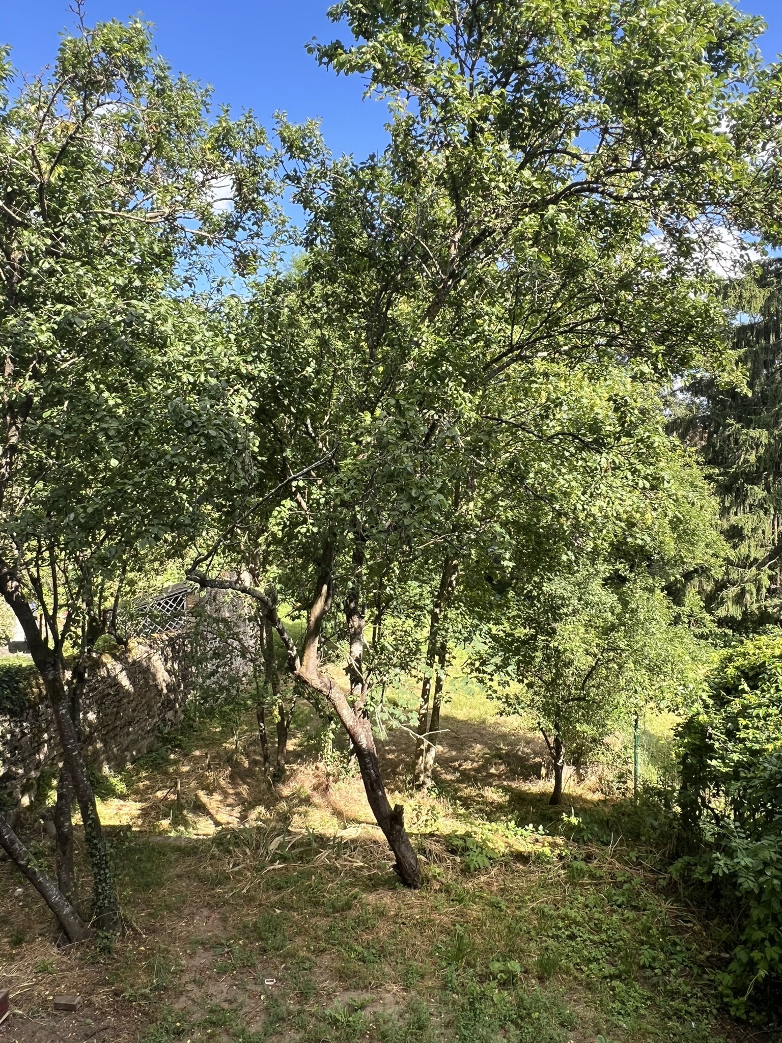 Photo 7 — DEVIN IMMOBILIER