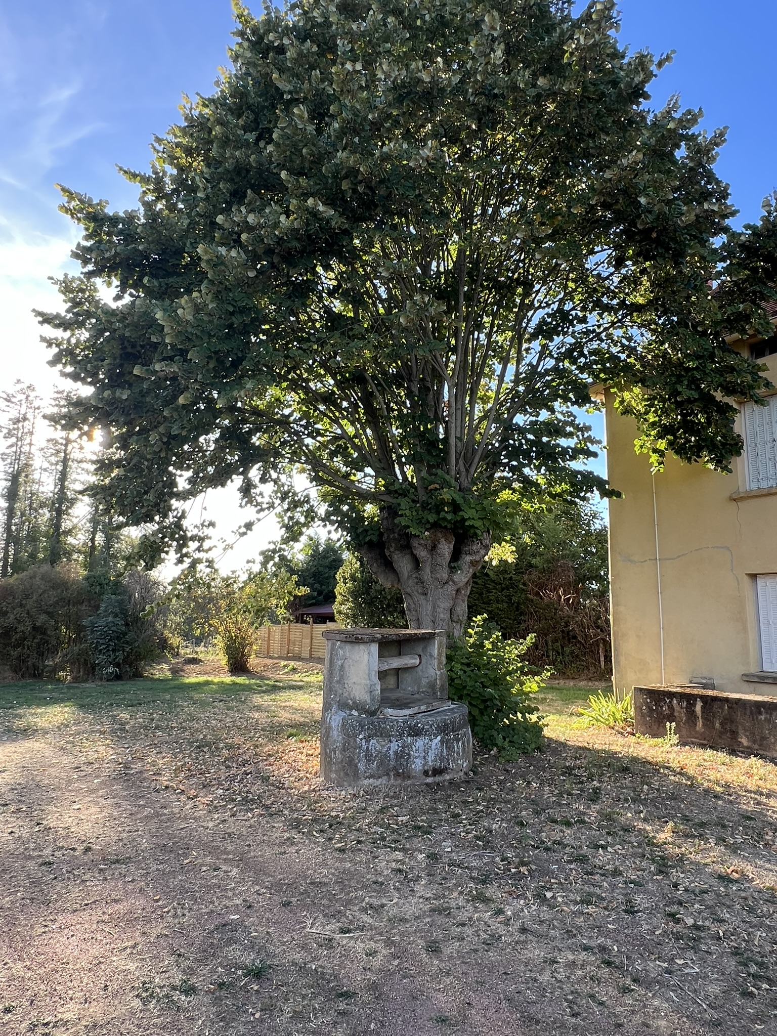 Photo 2 — DEVIN IMMOBILIER
