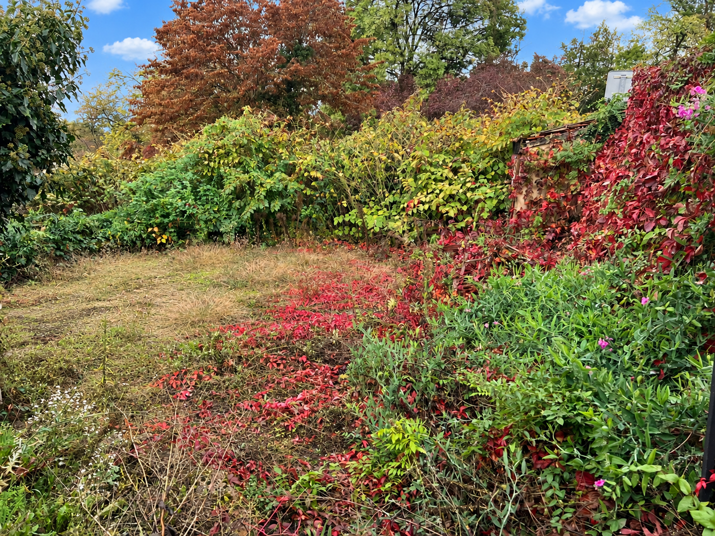 Photo 4 — DEVIN IMMOBILIER