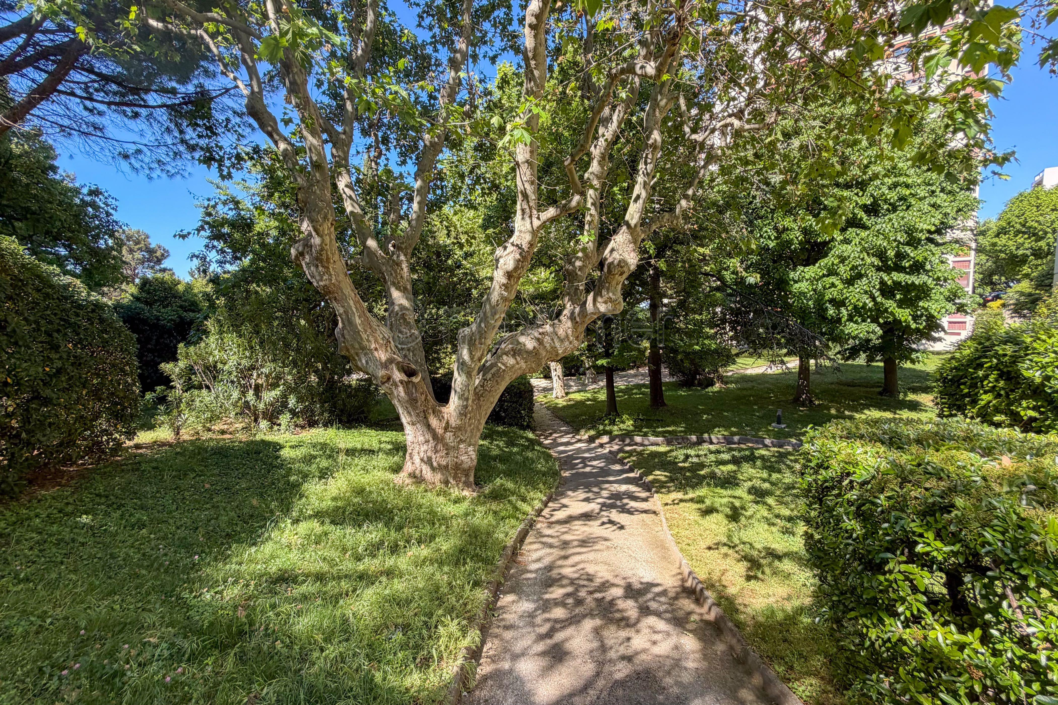 Photo 26 — MAVUMER