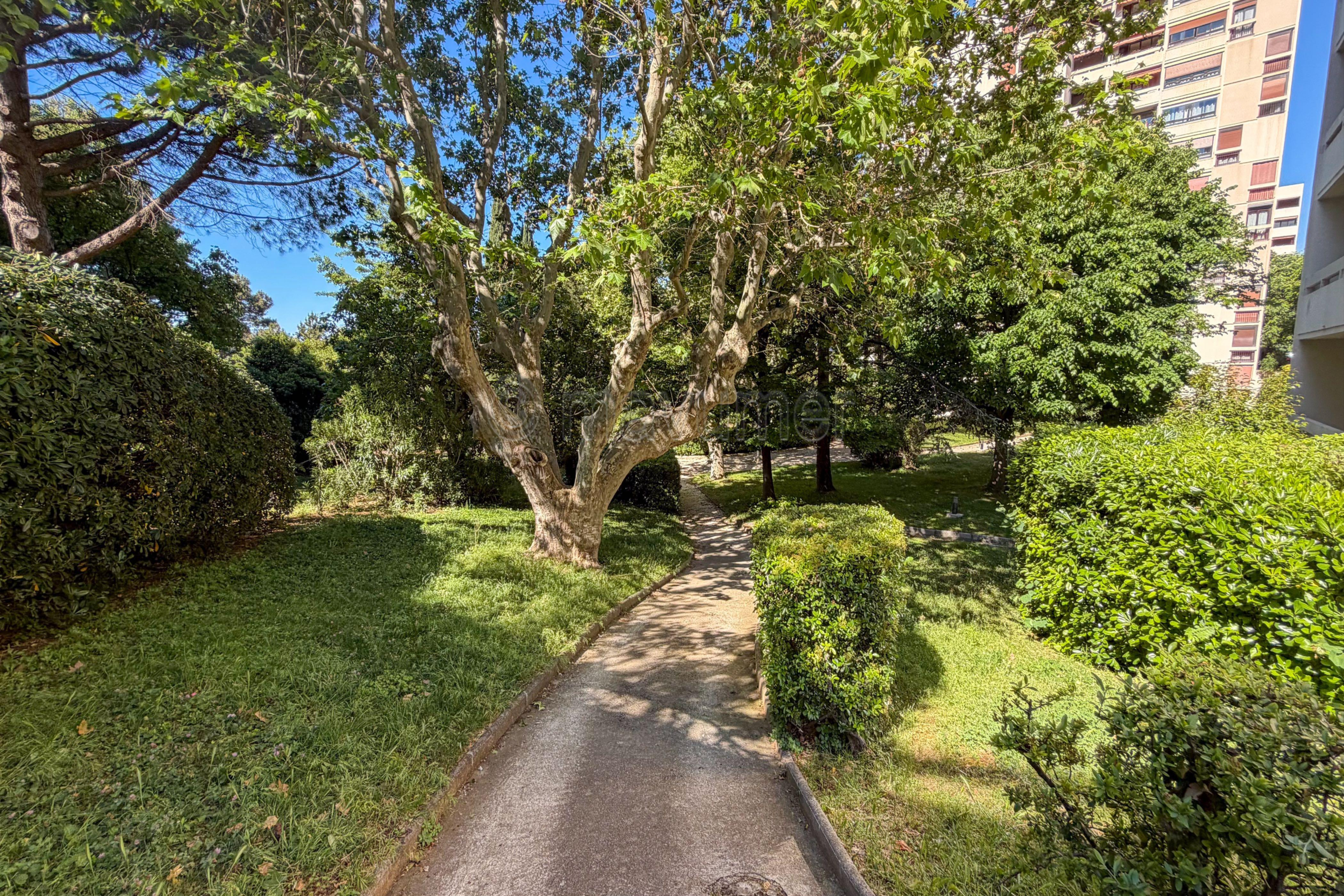 Photo 17 — MAVUMER