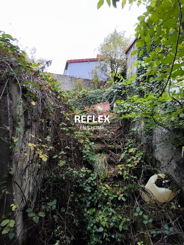 Photo 12 — REFLEX EN S'HOME ALBERT