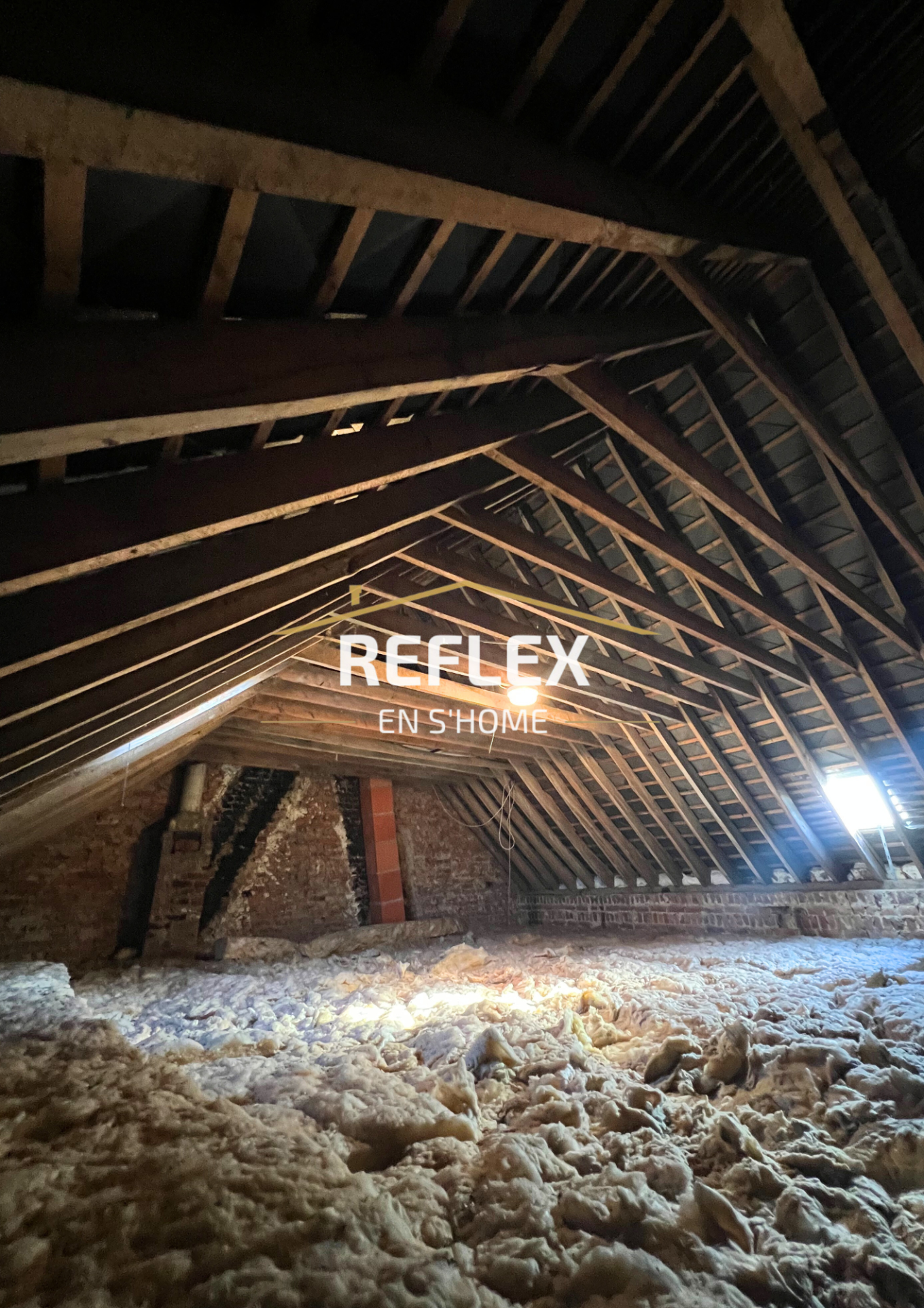 Photo 11 — REFLEX EN S'HOME ALBERT