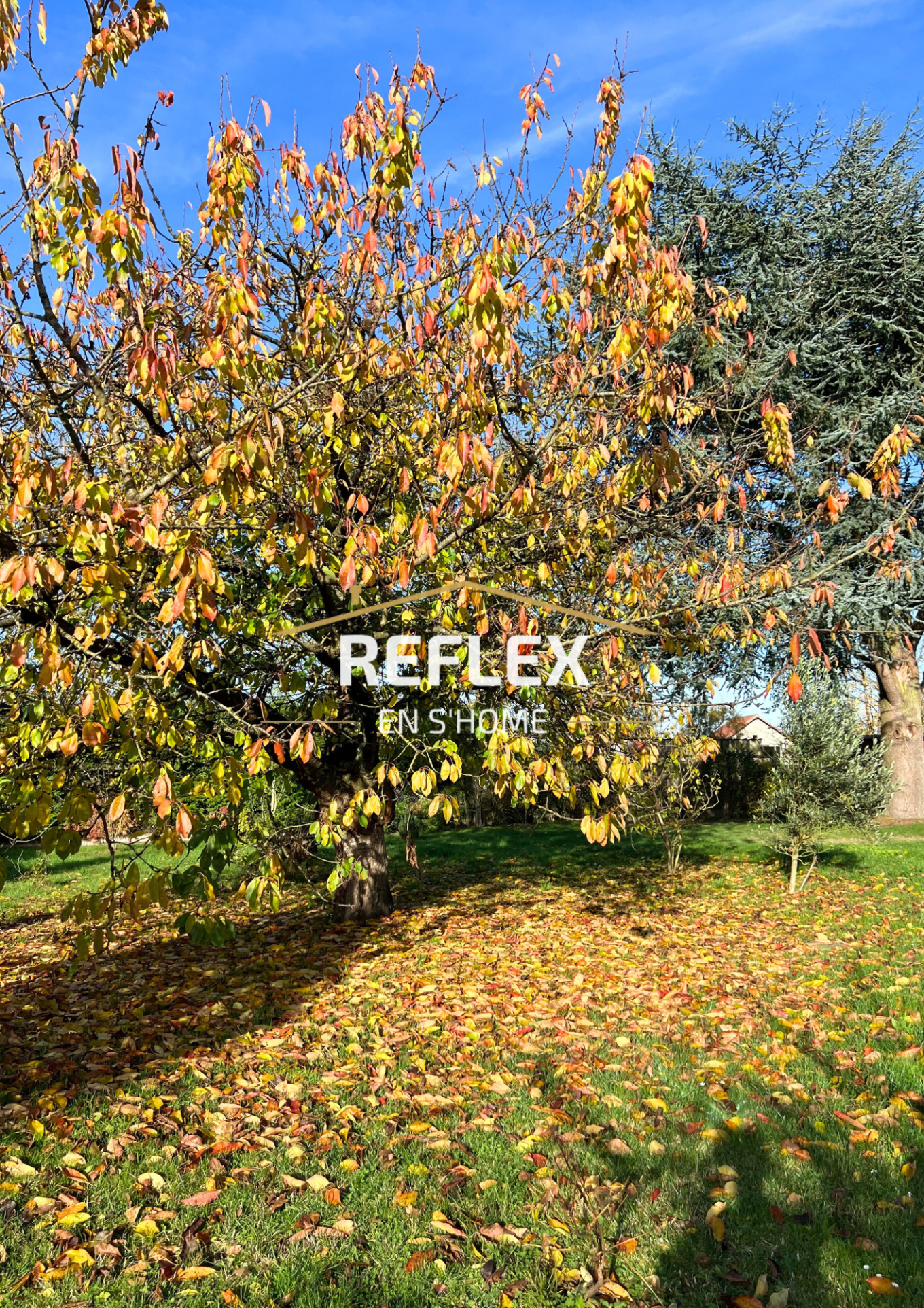 Photo 7 — REFLEX EN S'HOME ALBERT