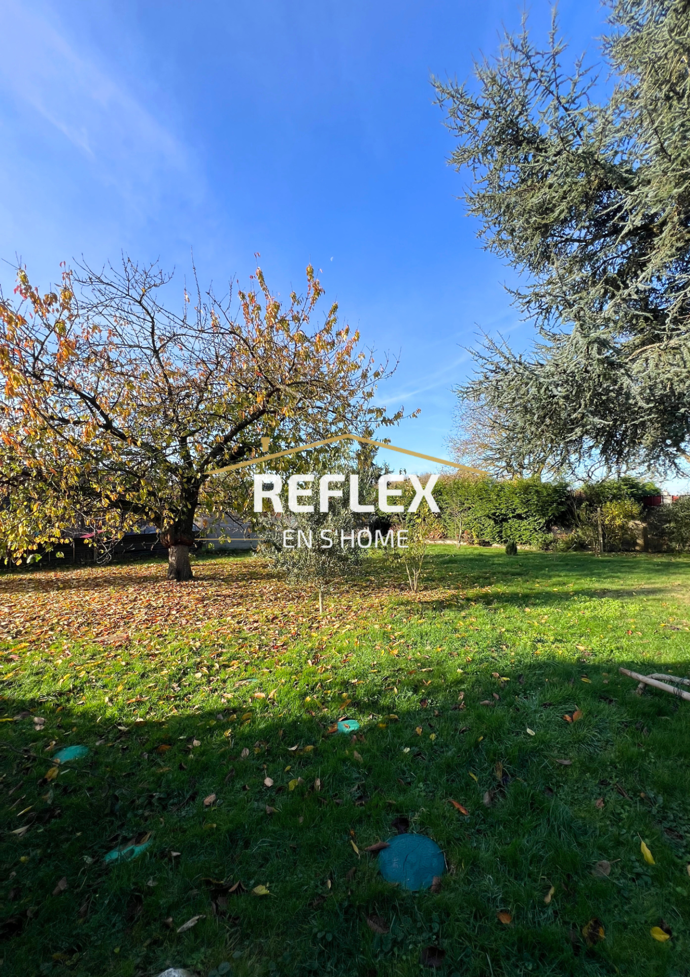 Photo 2 — REFLEX EN S'HOME ALBERT