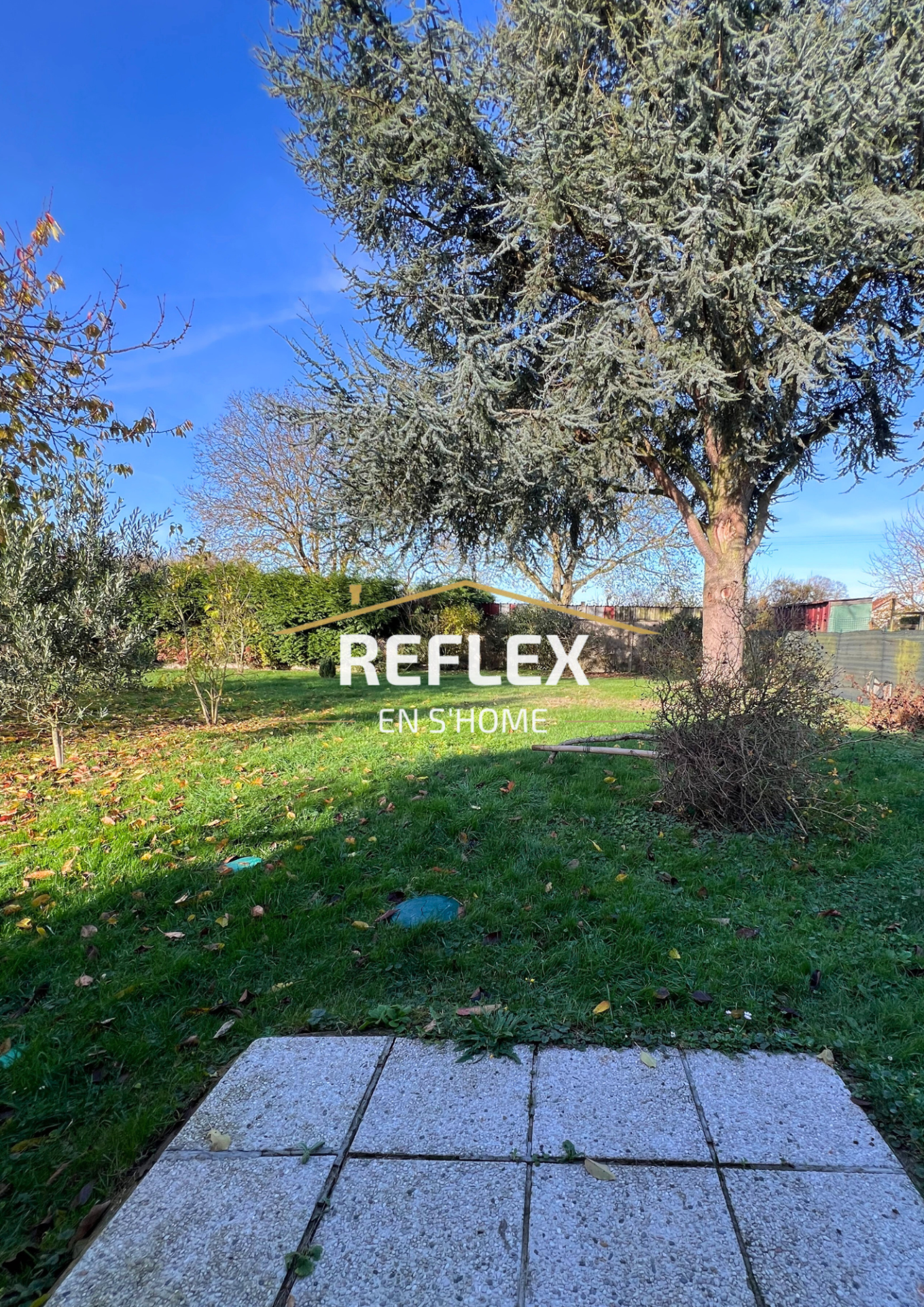 Photo 12 — REFLEX EN S'HOME ALBERT