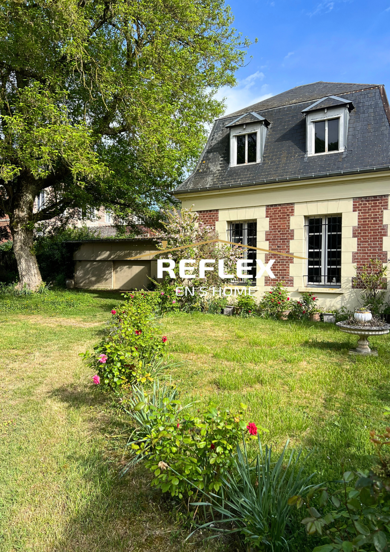 Photo 15 — REFLEX EN S'HOME ALBERT